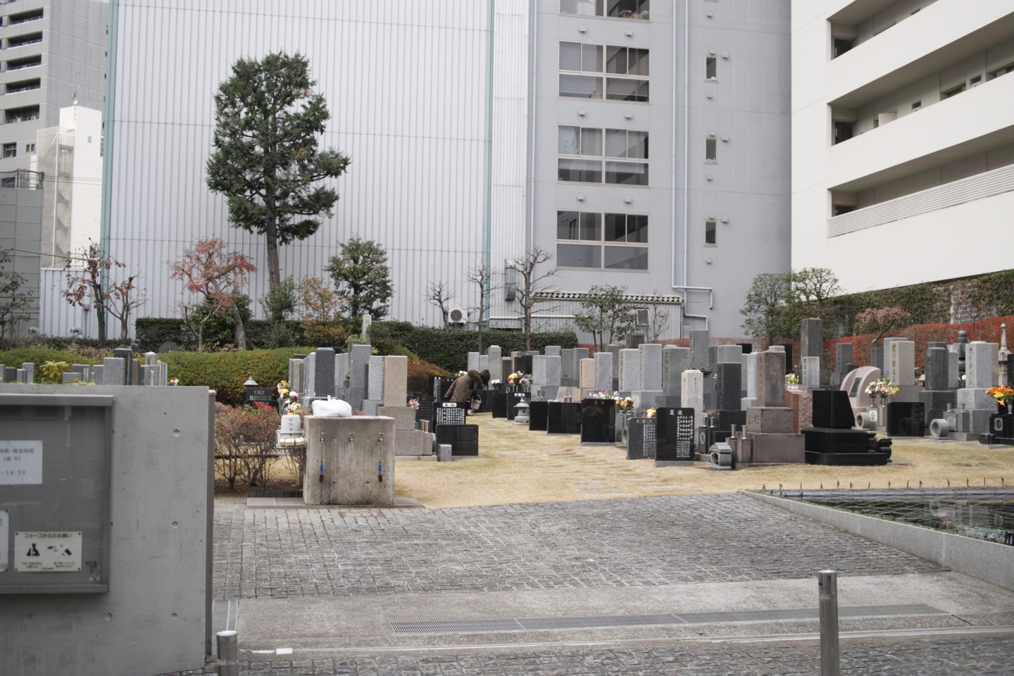 Shibuya_Img