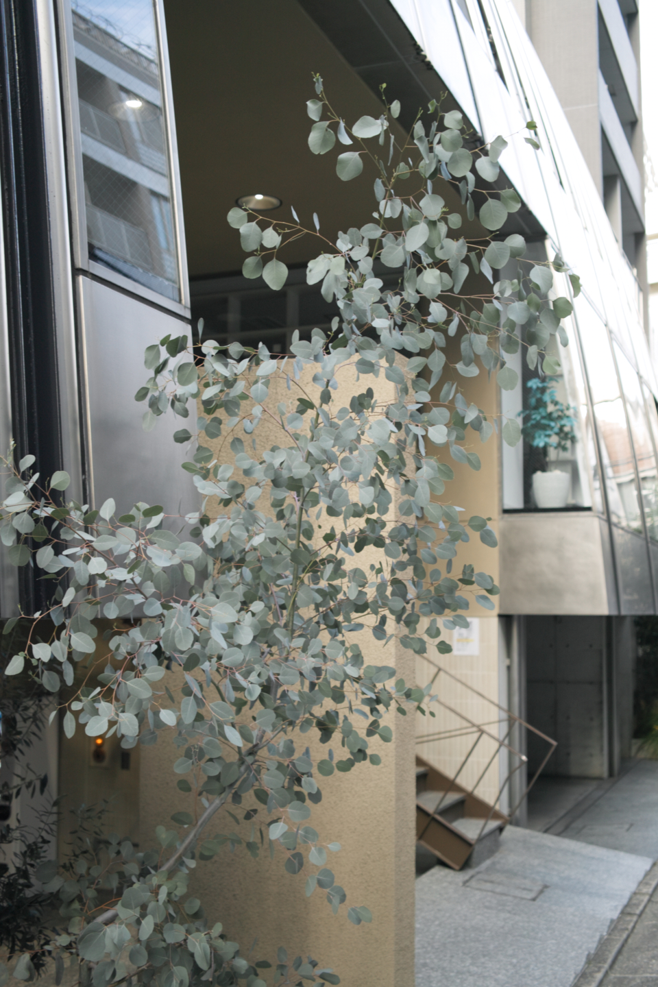 Shibuya_Img