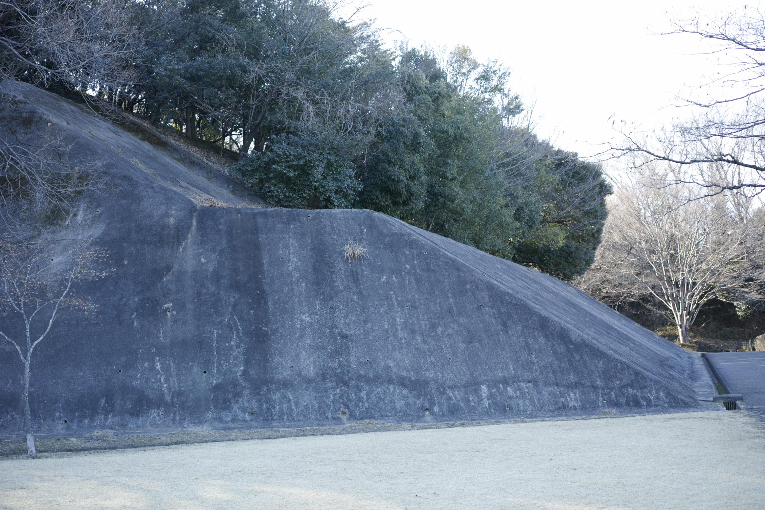Minami-Tama, Wakabadai, Nagayama_Img