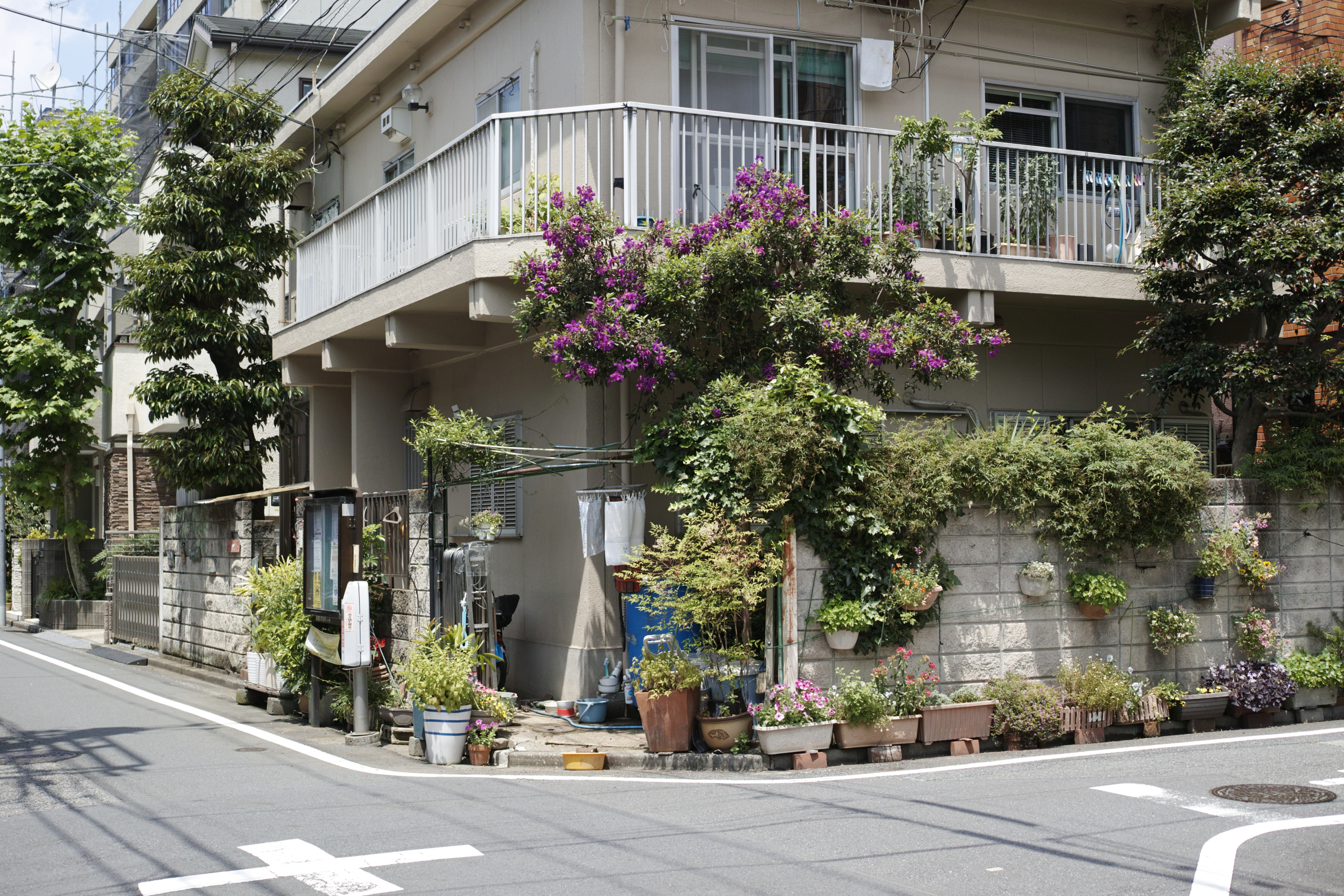 Higashi-Shinjuku, Waseda, Zoshigaya_Img