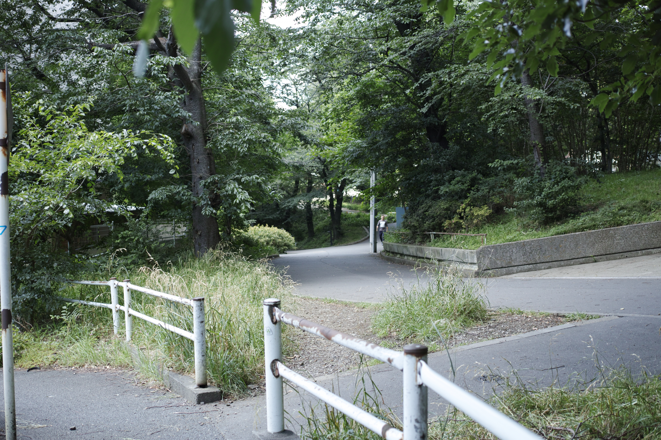 Higashi-Shinjuku, Waseda, Zoshigaya_Img