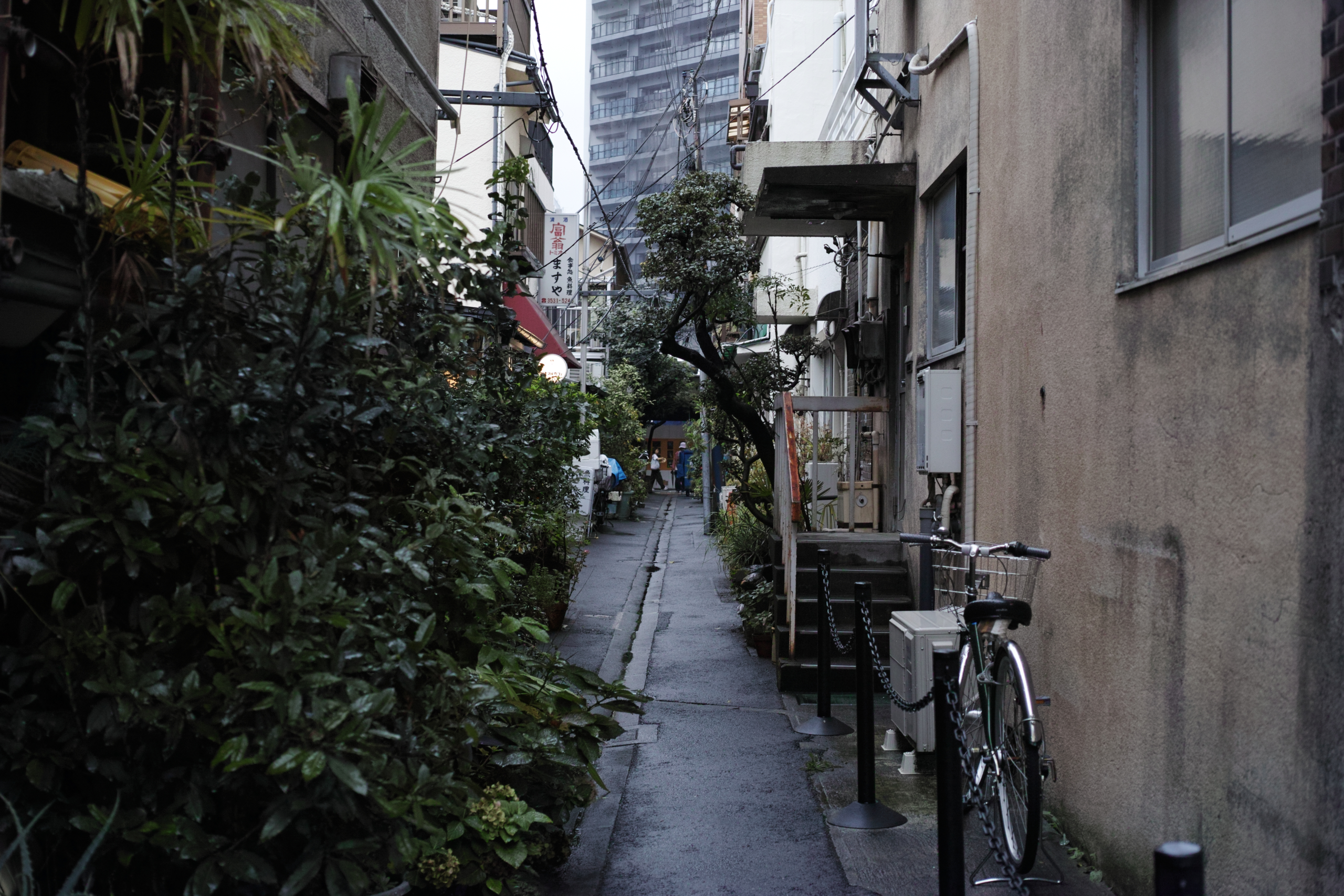 Kachidoki_Img