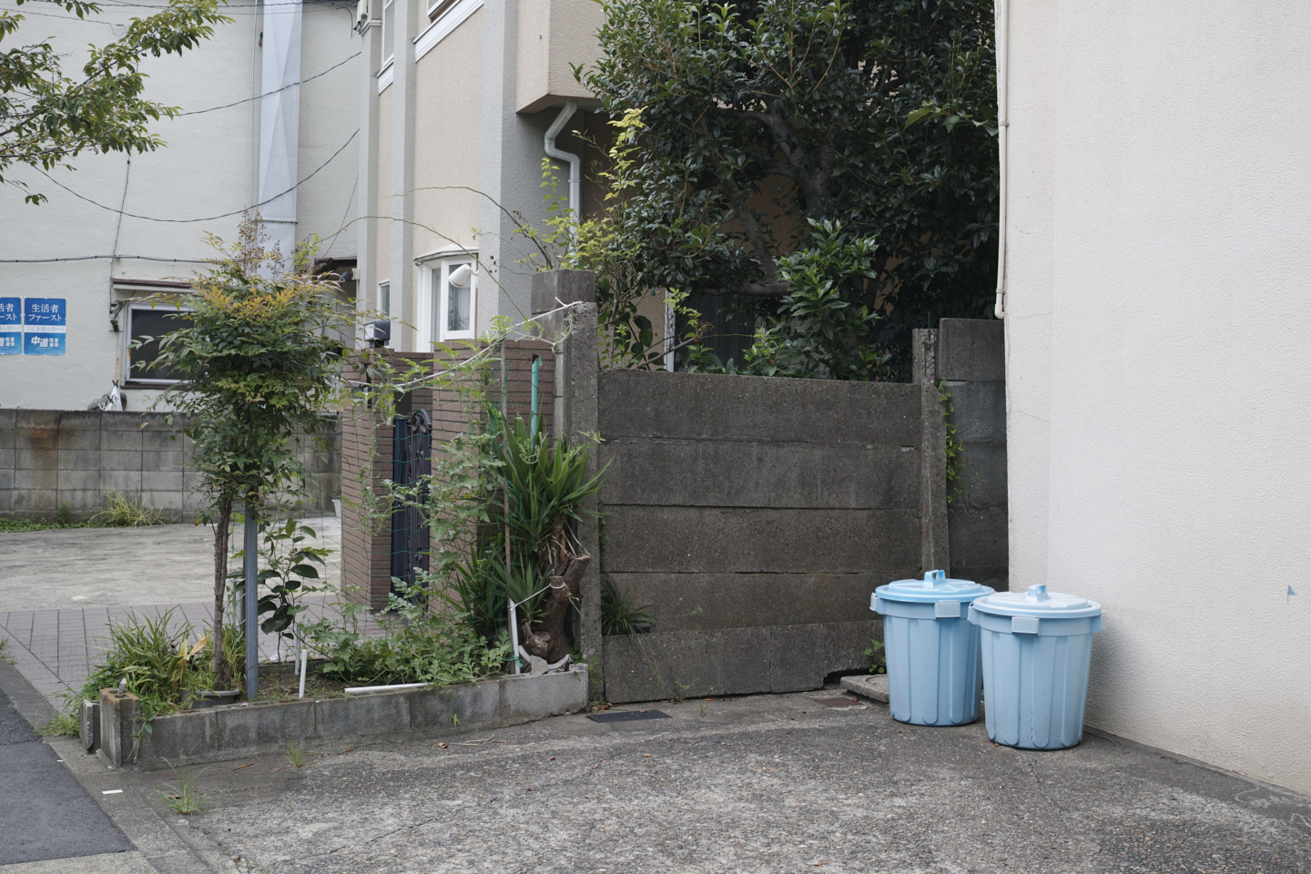 Kanda, Nippori, Nezu, Ueno, Shinjuku_Img