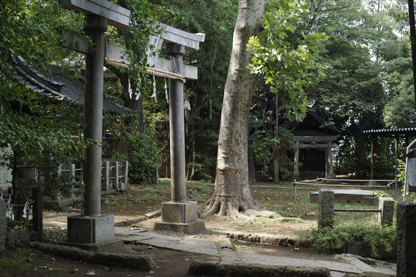 Kanda, Nippori, Nezu, Ueno, Shinjuku_Img