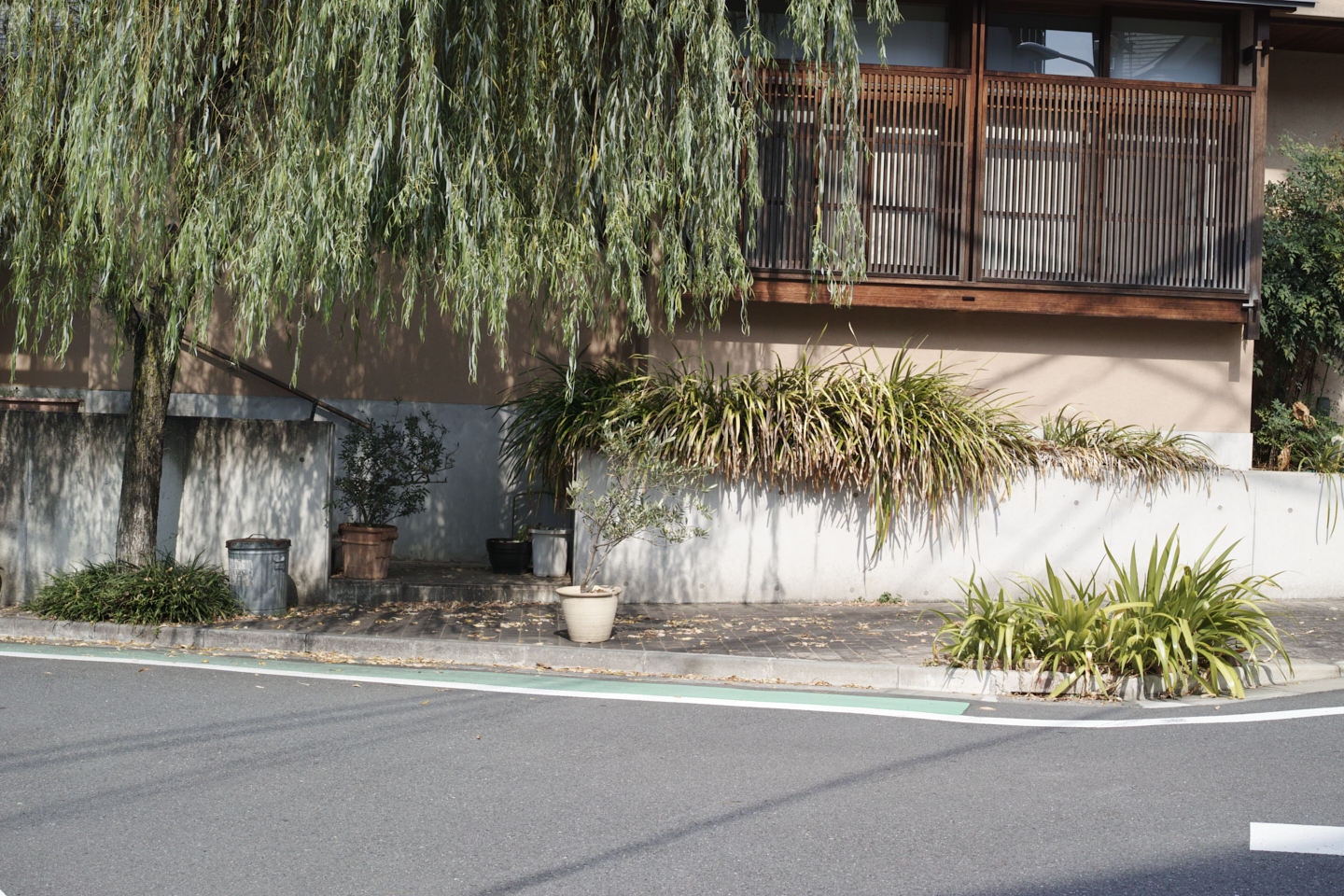 Kanda, Nippori, Nezu, Ueno, Shinjuku_Img