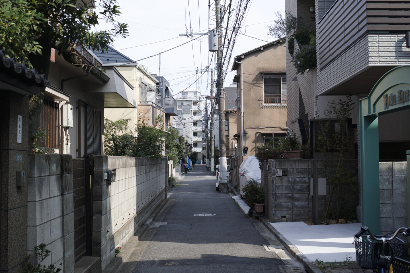 Kanda, Nippori, Nezu, Ueno, Shinjuku_Img