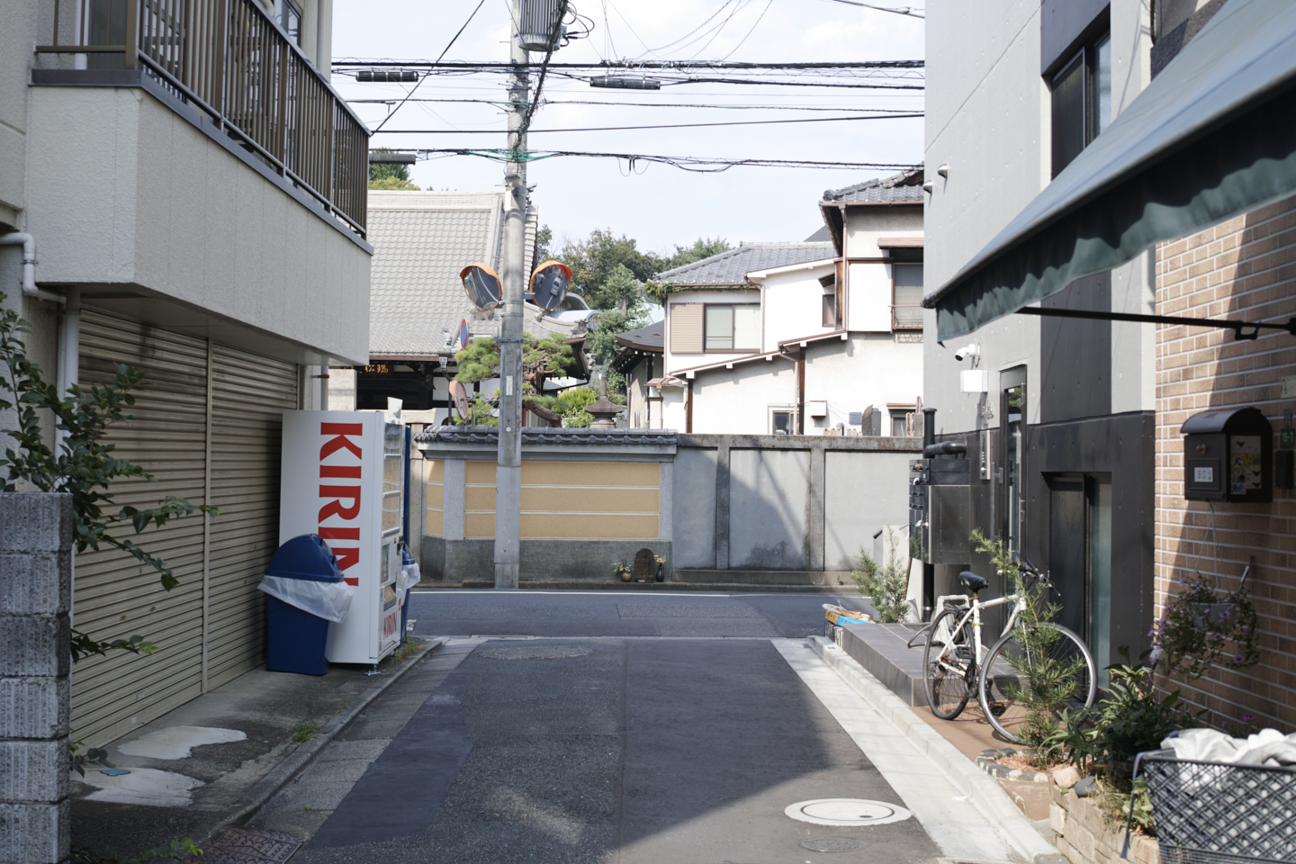 Kanda, Nippori, Nezu, Ueno, Shinjuku_Img