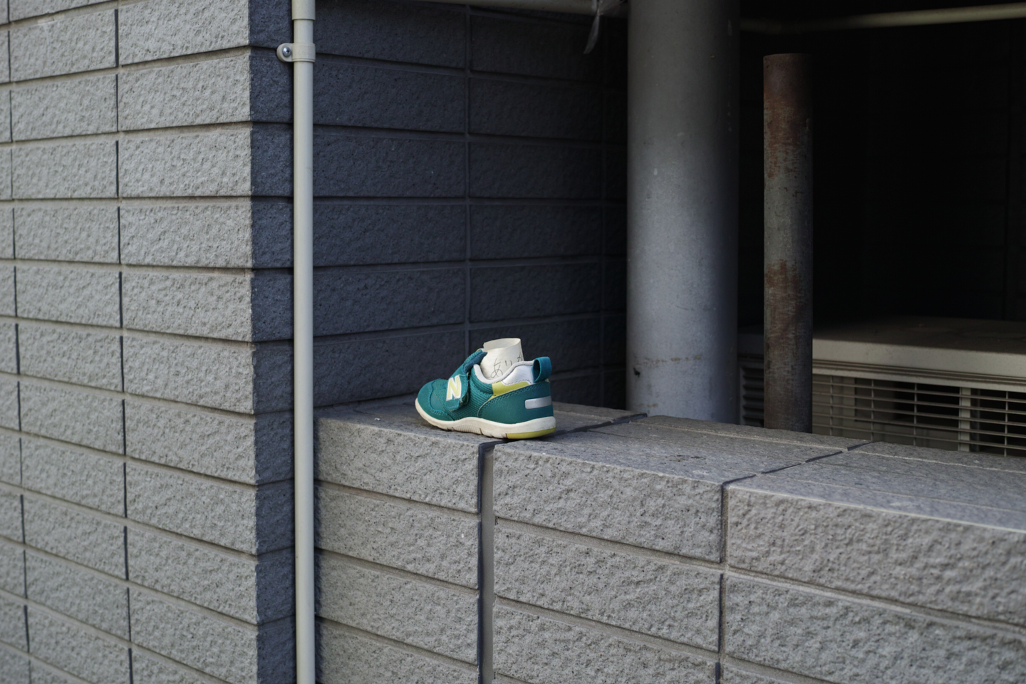 Kanda, Nippori, Nezu, Ueno, Shinjuku_Img