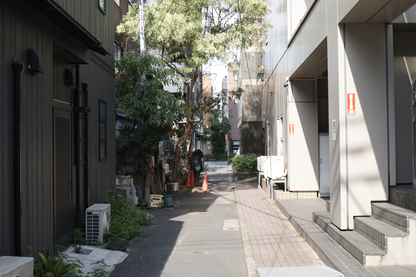 Kanda, Nippori, Nezu, Ueno, Shinjuku_Img
