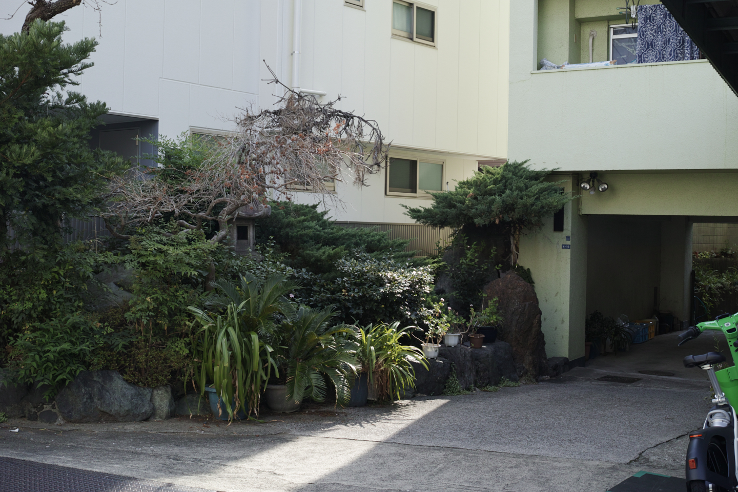 Kanda, Nippori, Nezu, Ueno, Shinjuku_Img