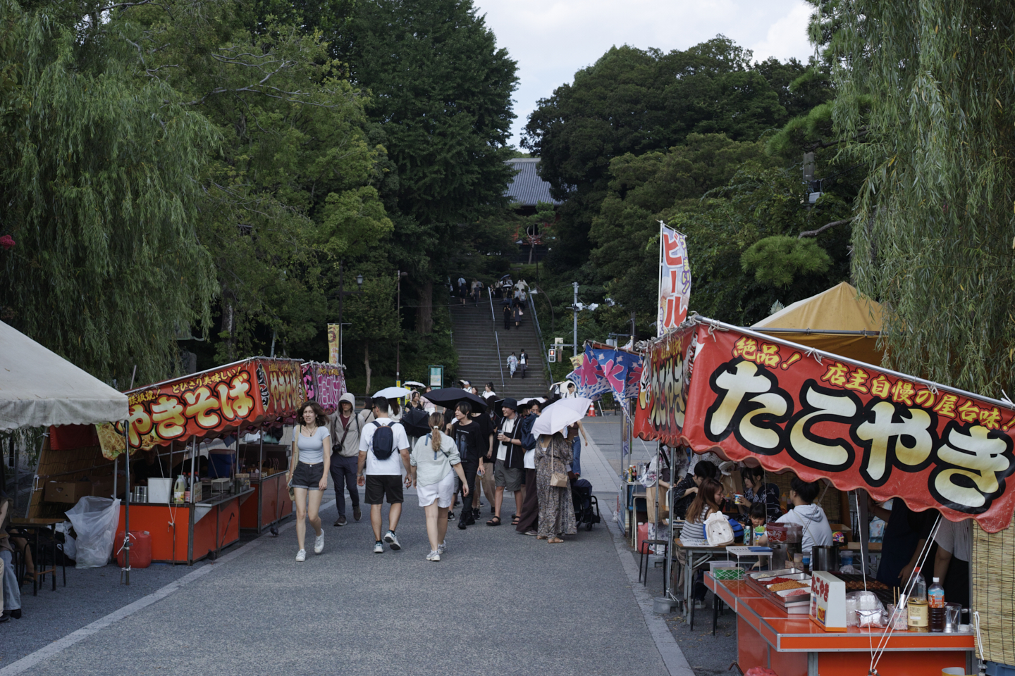 Kanda, Nippori, Nezu, Ueno, Shinjuku_Img