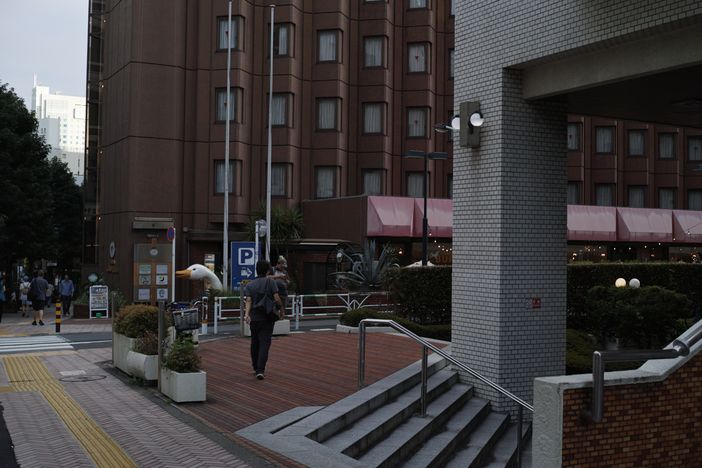 Shibuya_Img