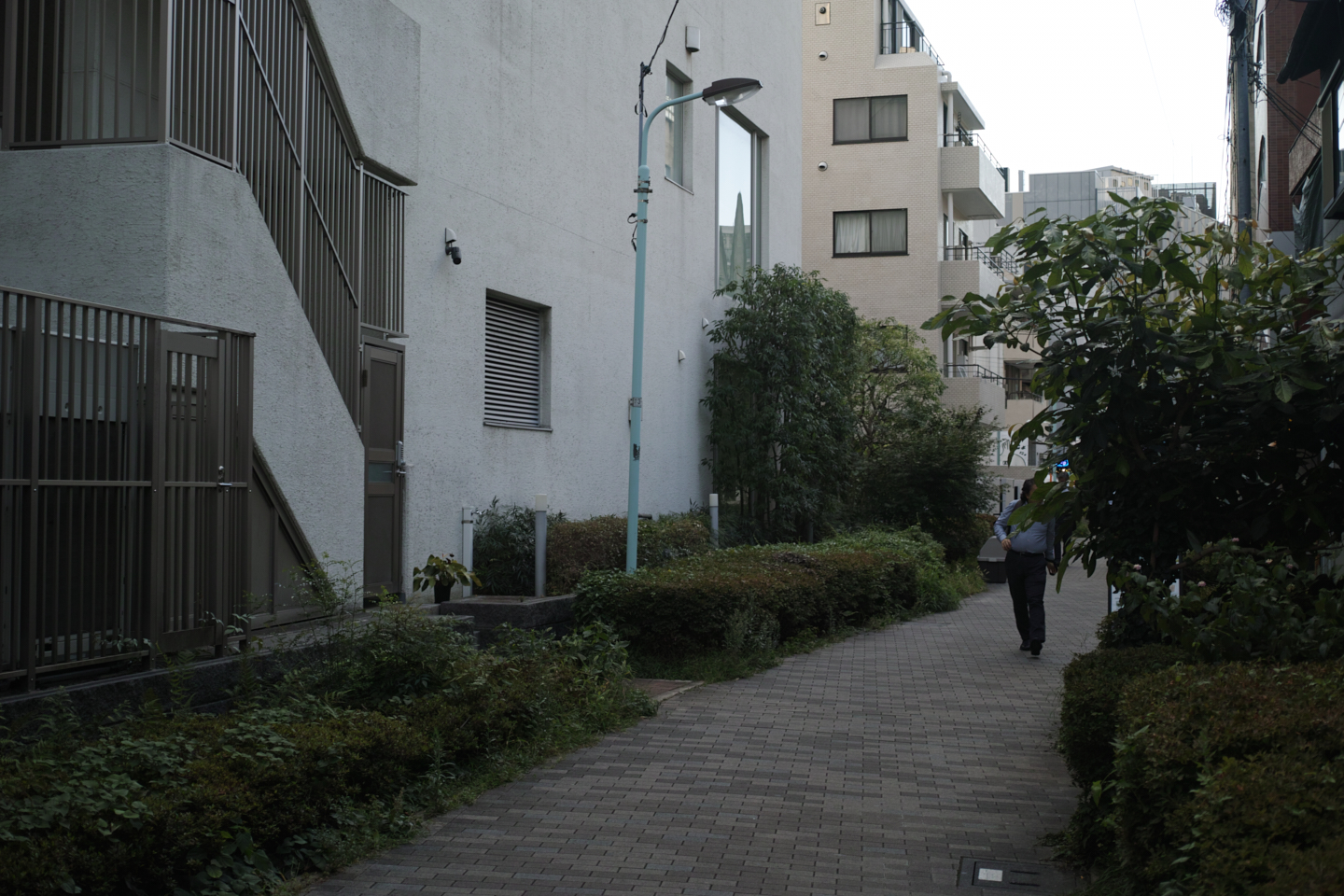 Shibuya_Img