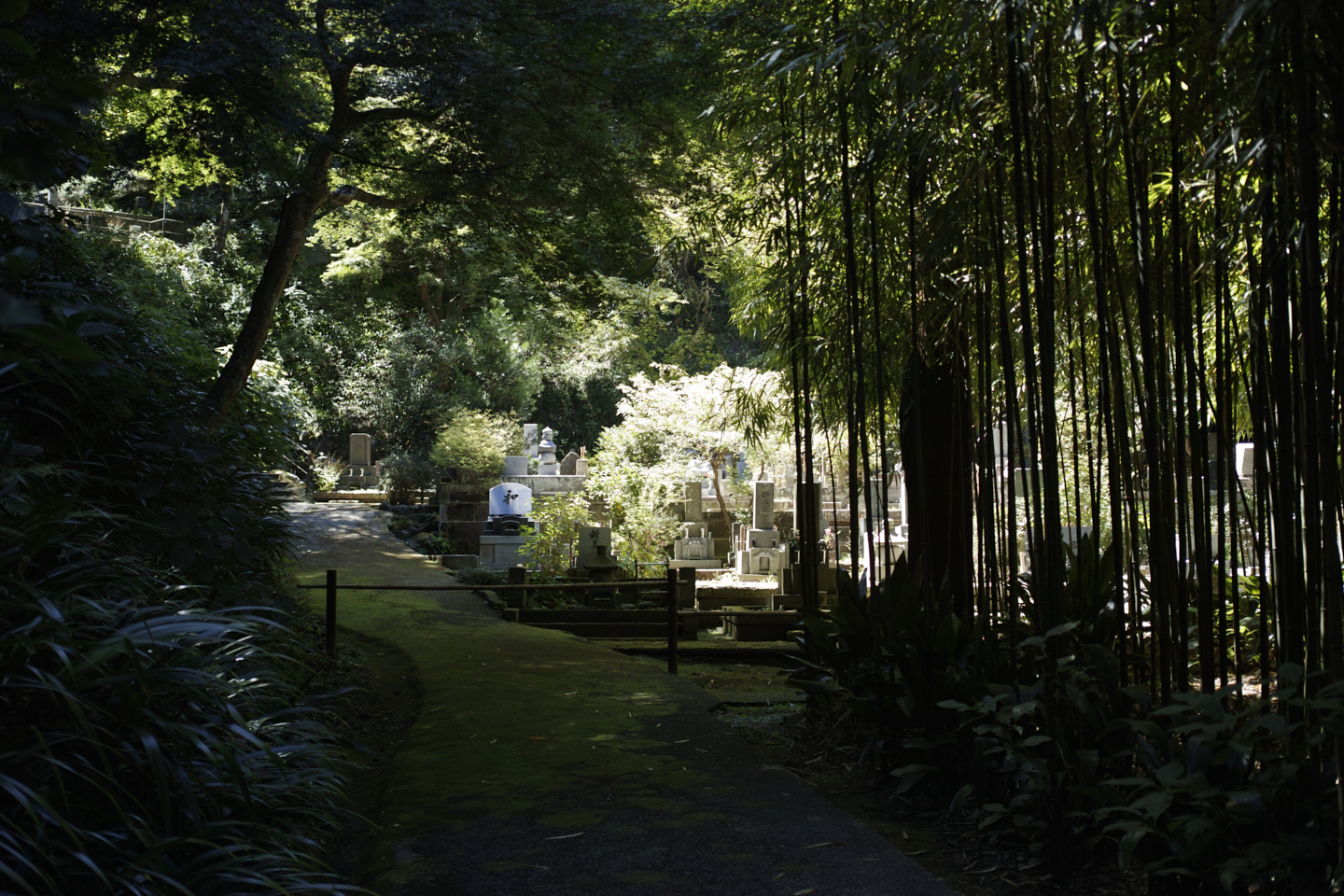 Kamakura_Img