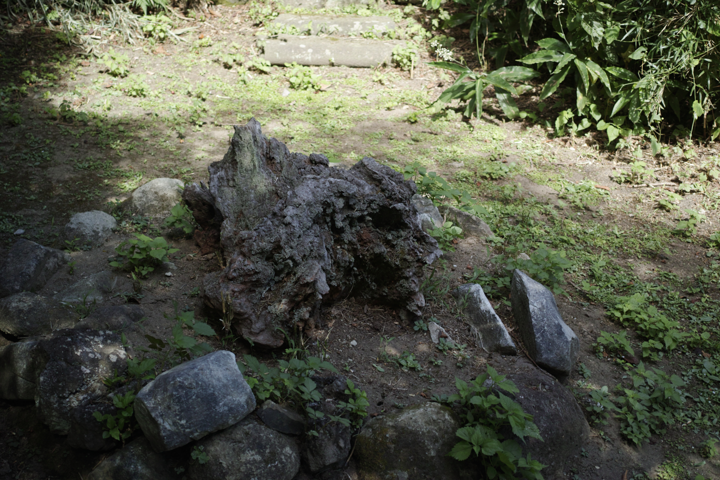 Kamakura_Img
