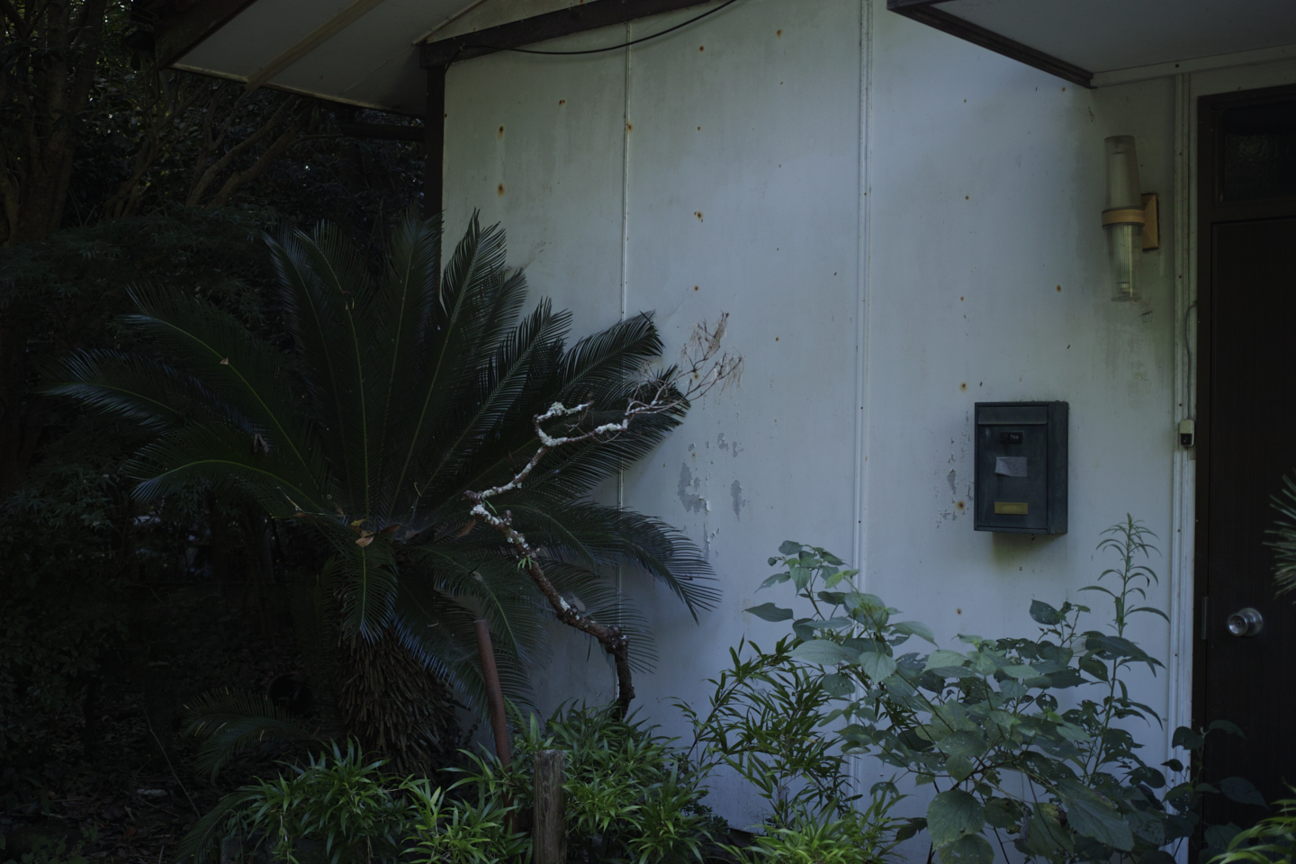 Kamakura_Img