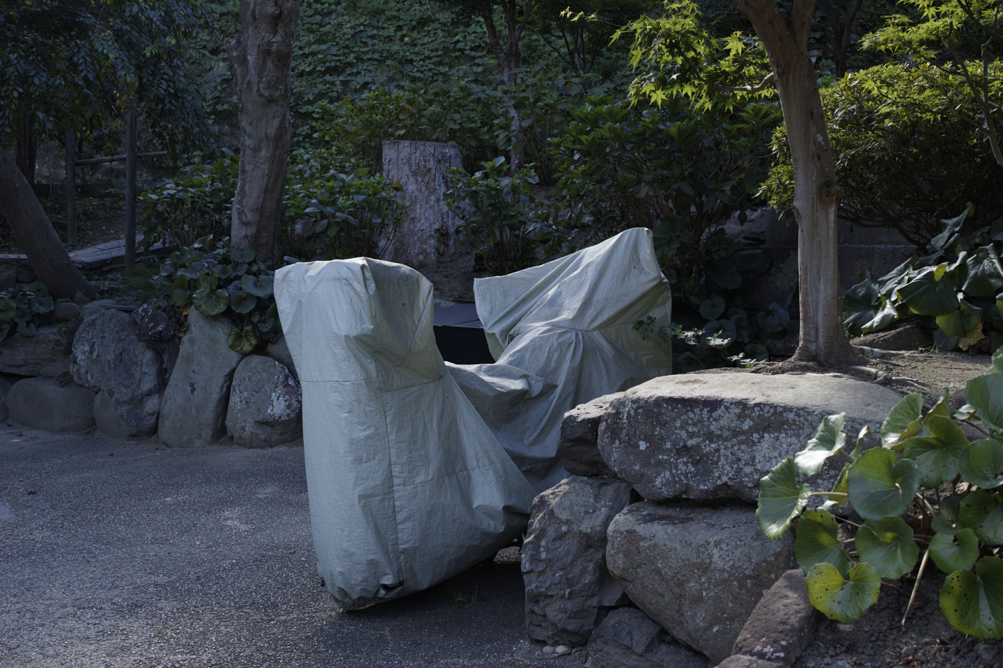 Kamakura_Img