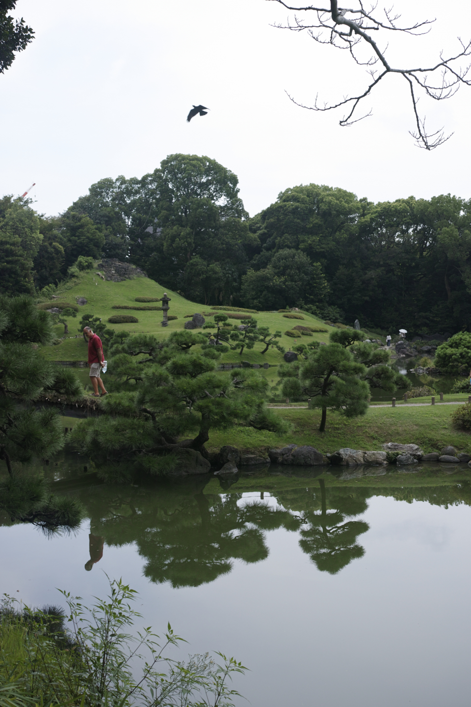Iwamotocho, Kiba, Monzen-nakacho_Img