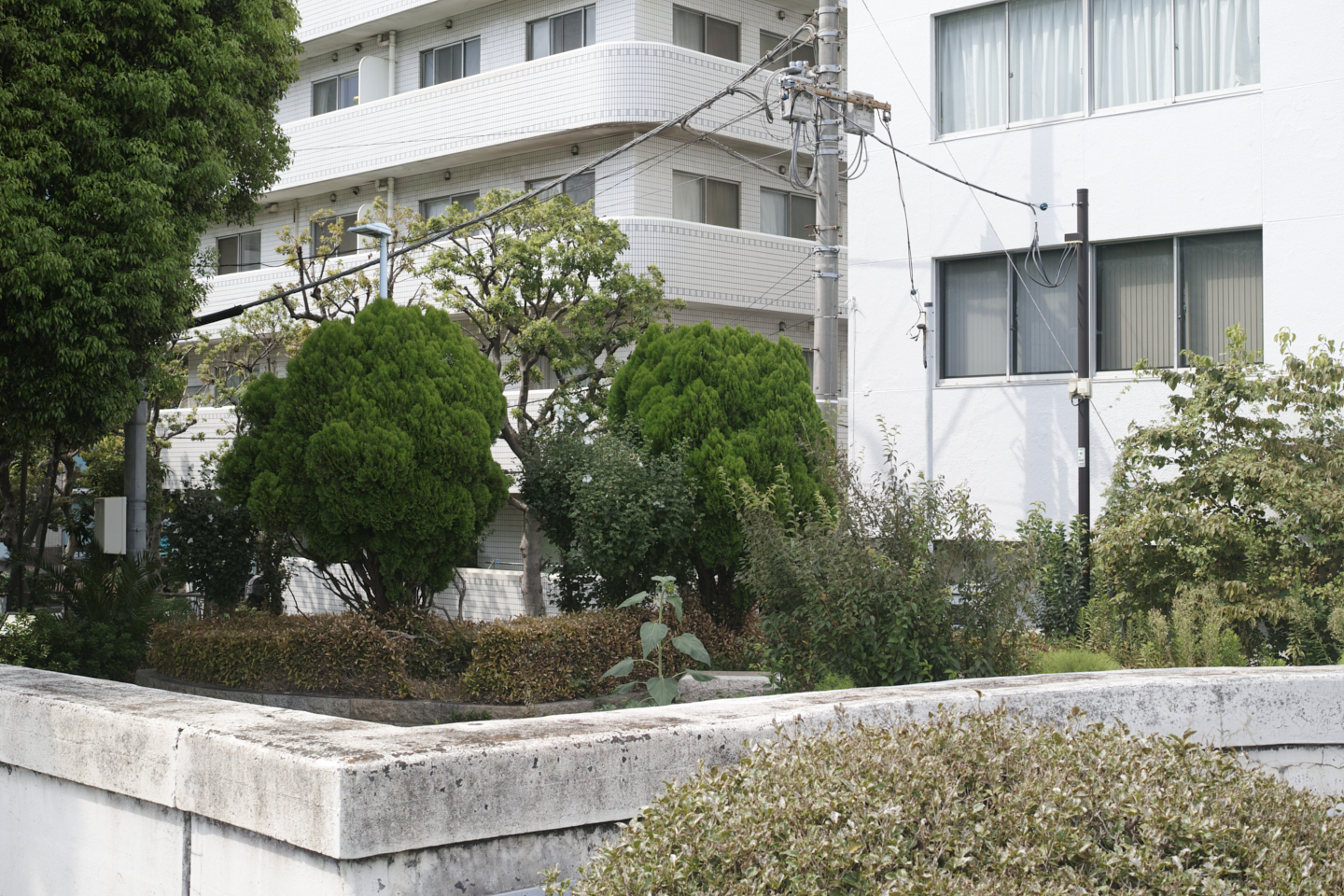 Iwamotocho, Kiba, Monzen-nakacho_Img