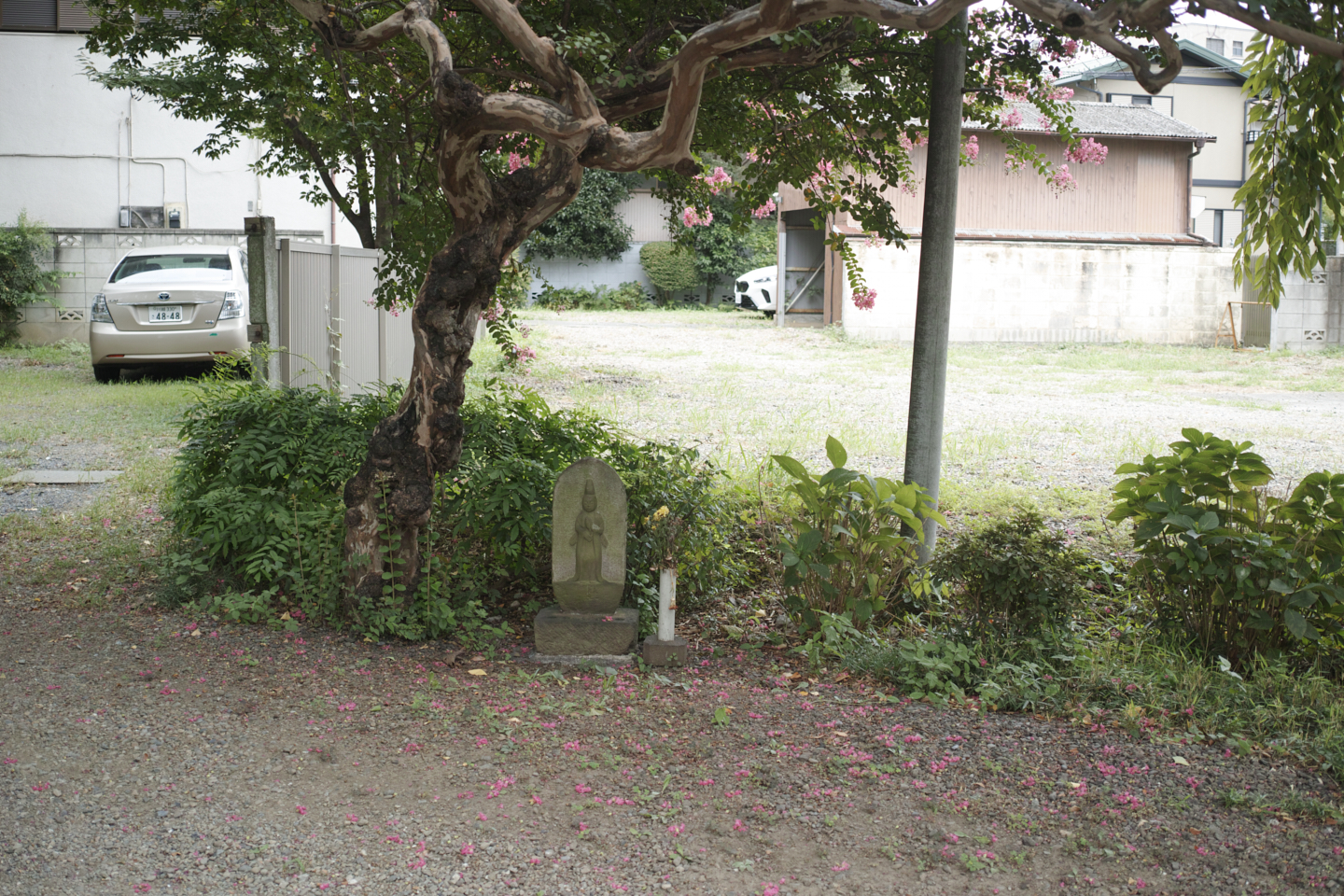 Kawagoe_Img