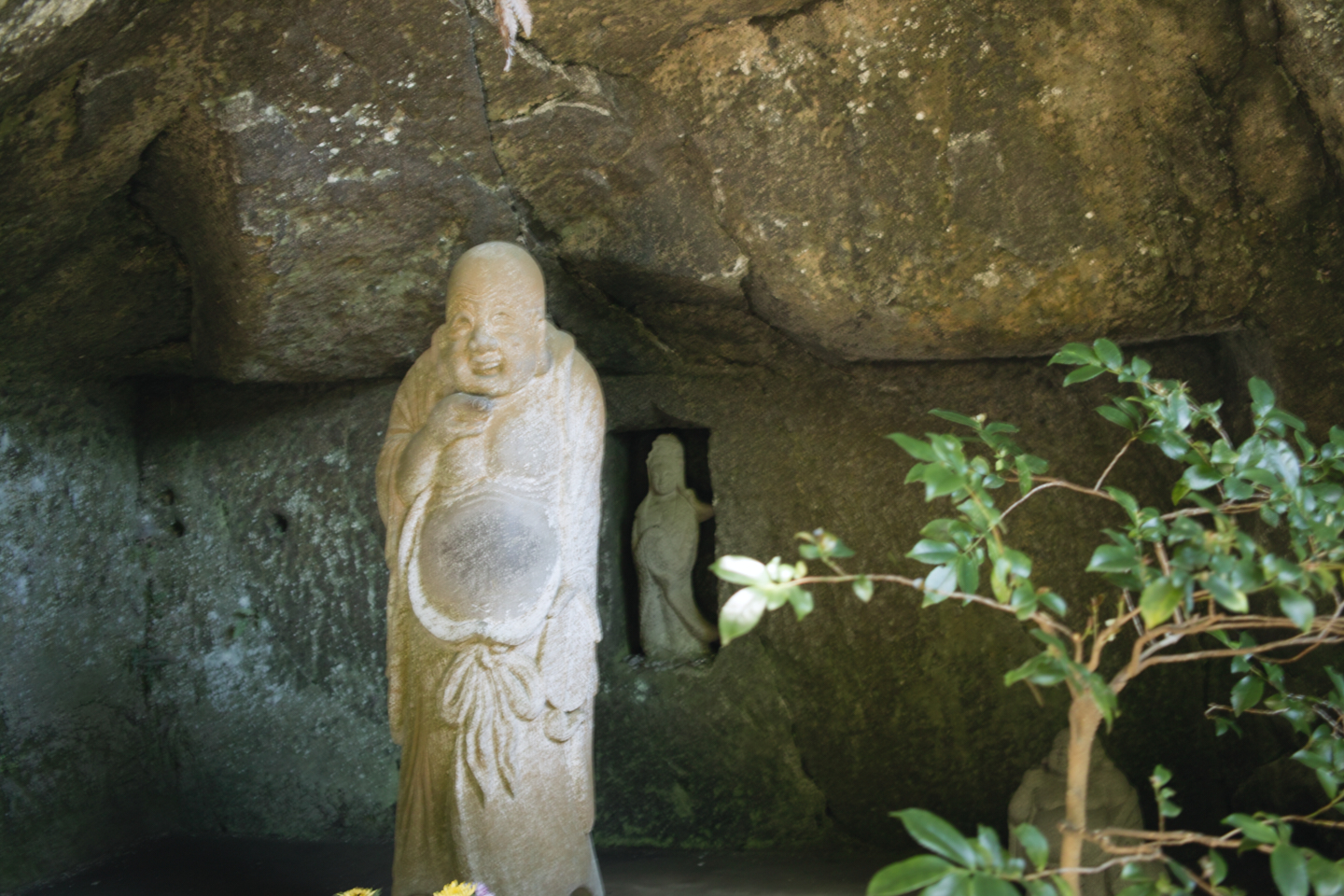 Kamakura_Img