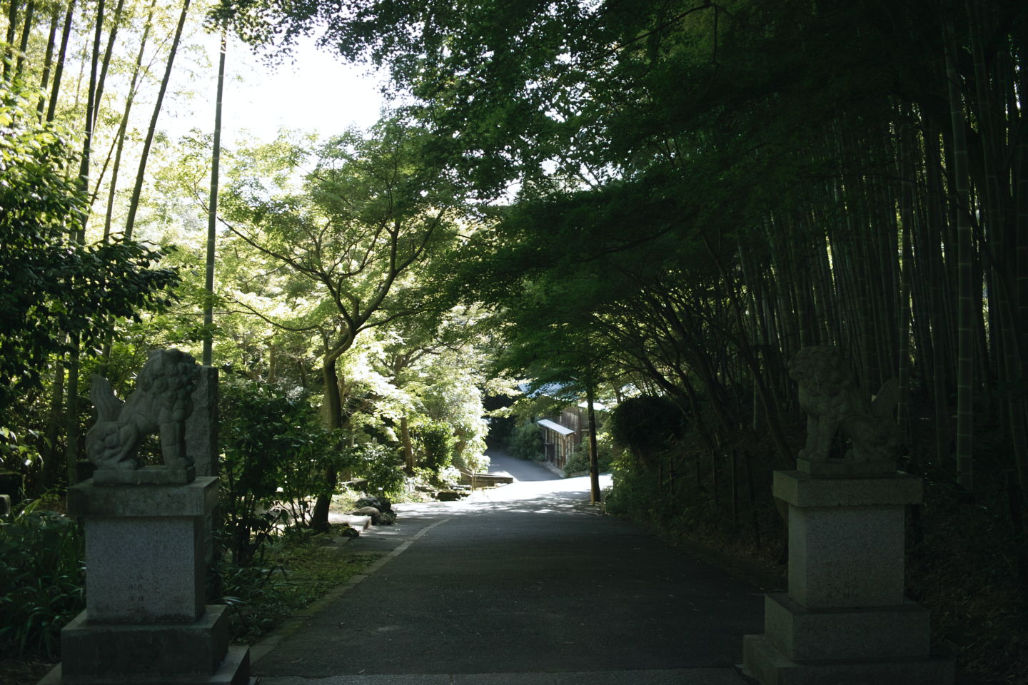 Kamakura_Img