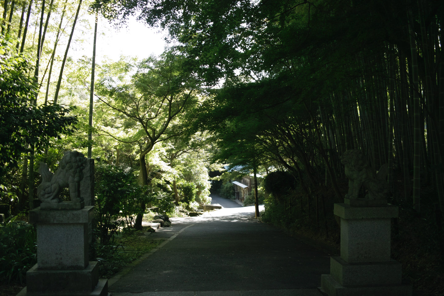 Kamakura_Img