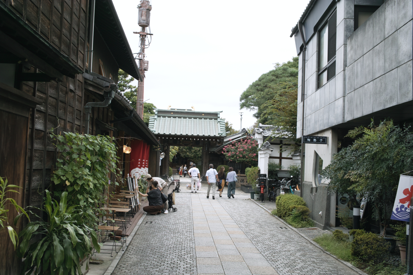 Kawagoe_Img