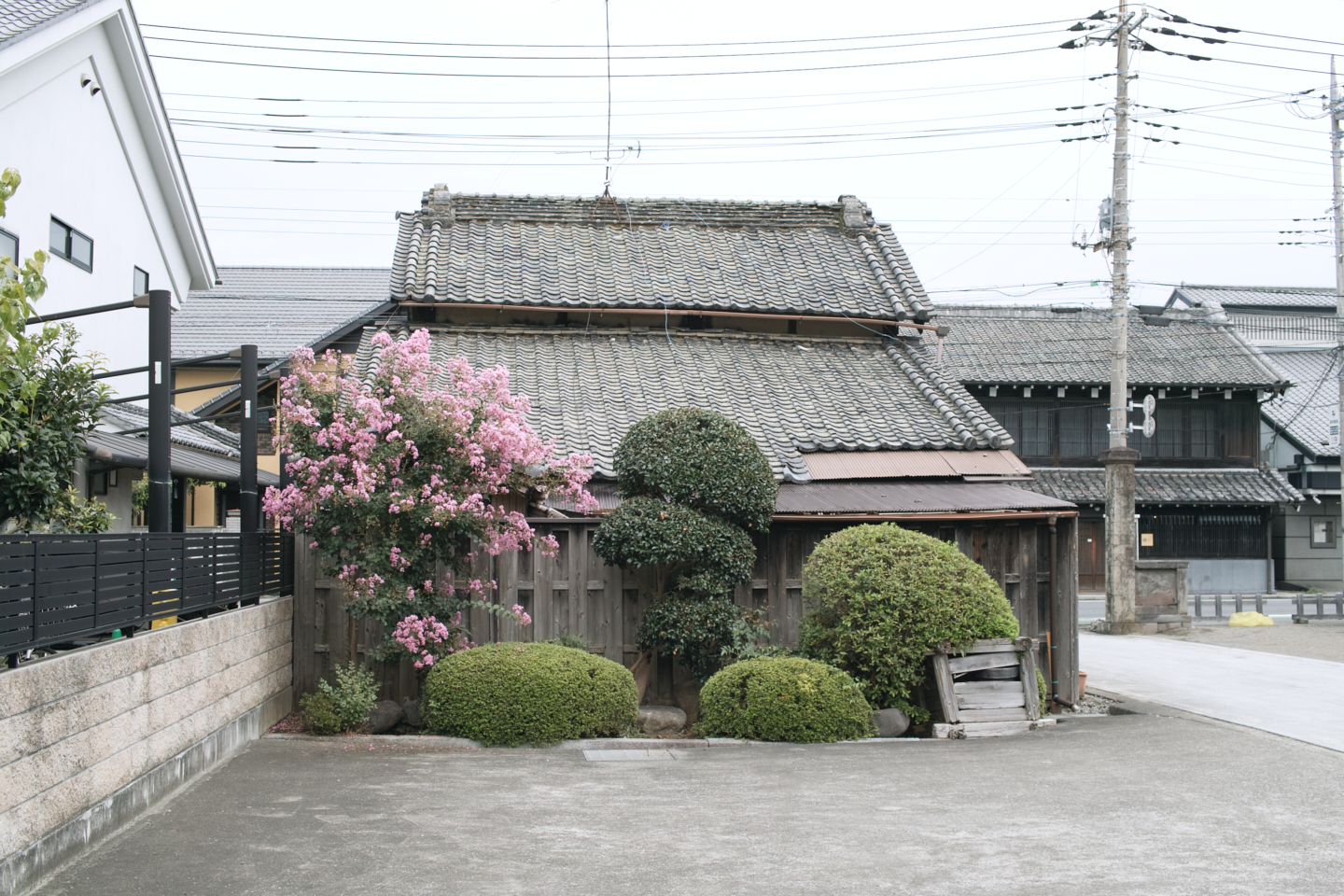 Kawagoe_Img