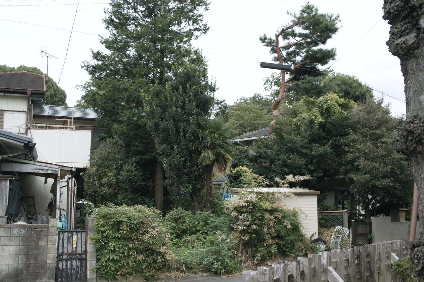 Kawagoe_Img