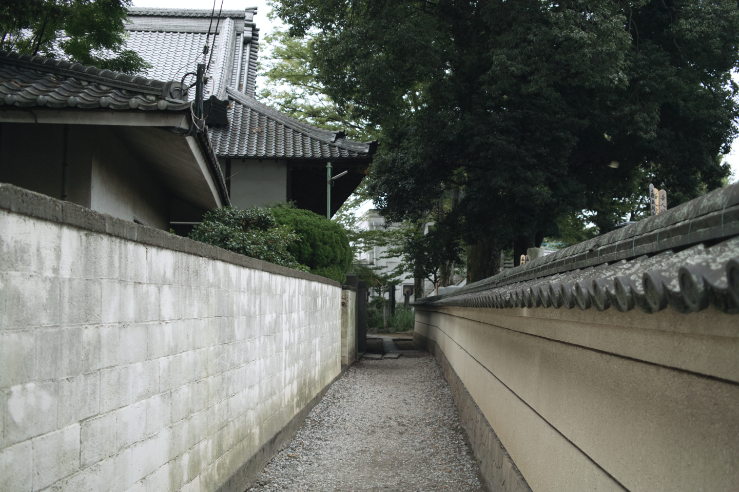 Kawagoe_Img