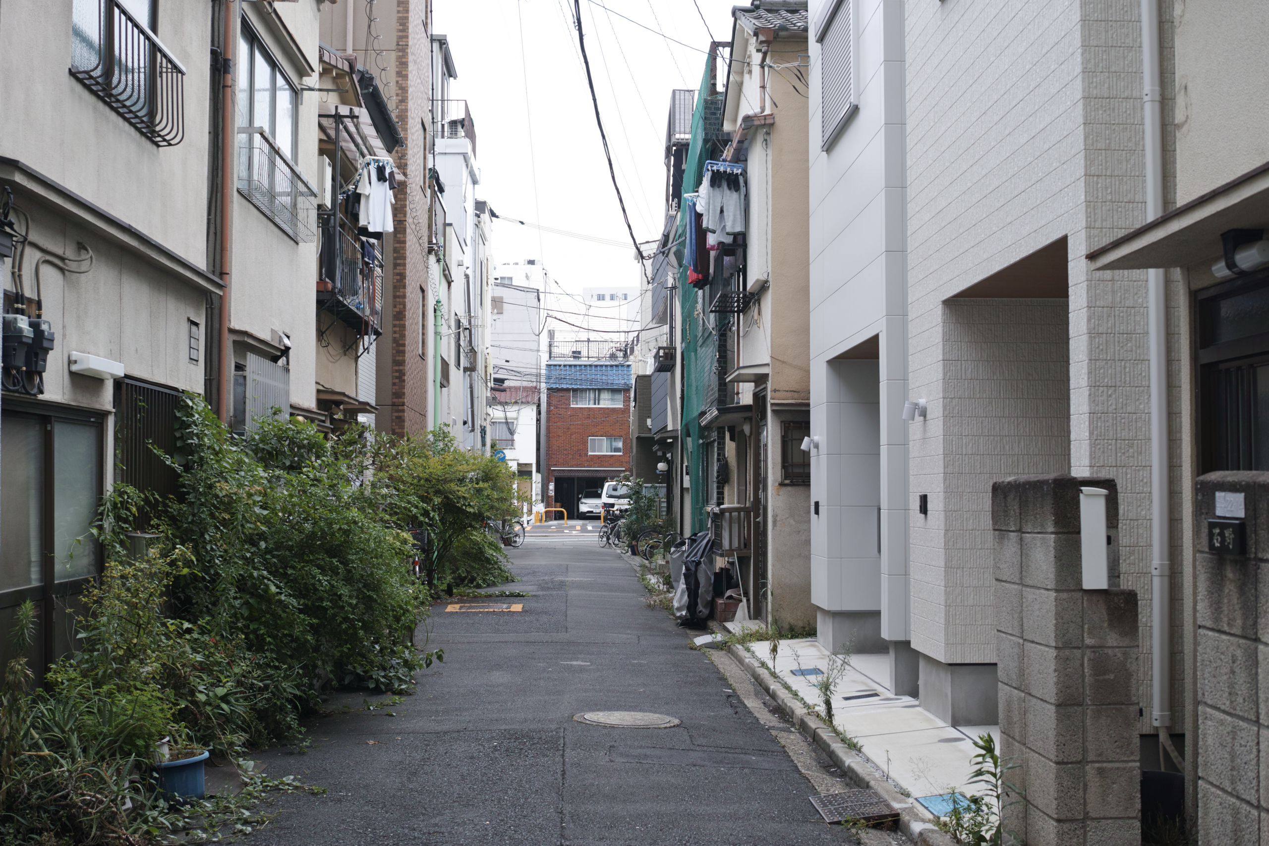 Kanda, Nippori, Nezu, Ueno, Shinjuku_Img