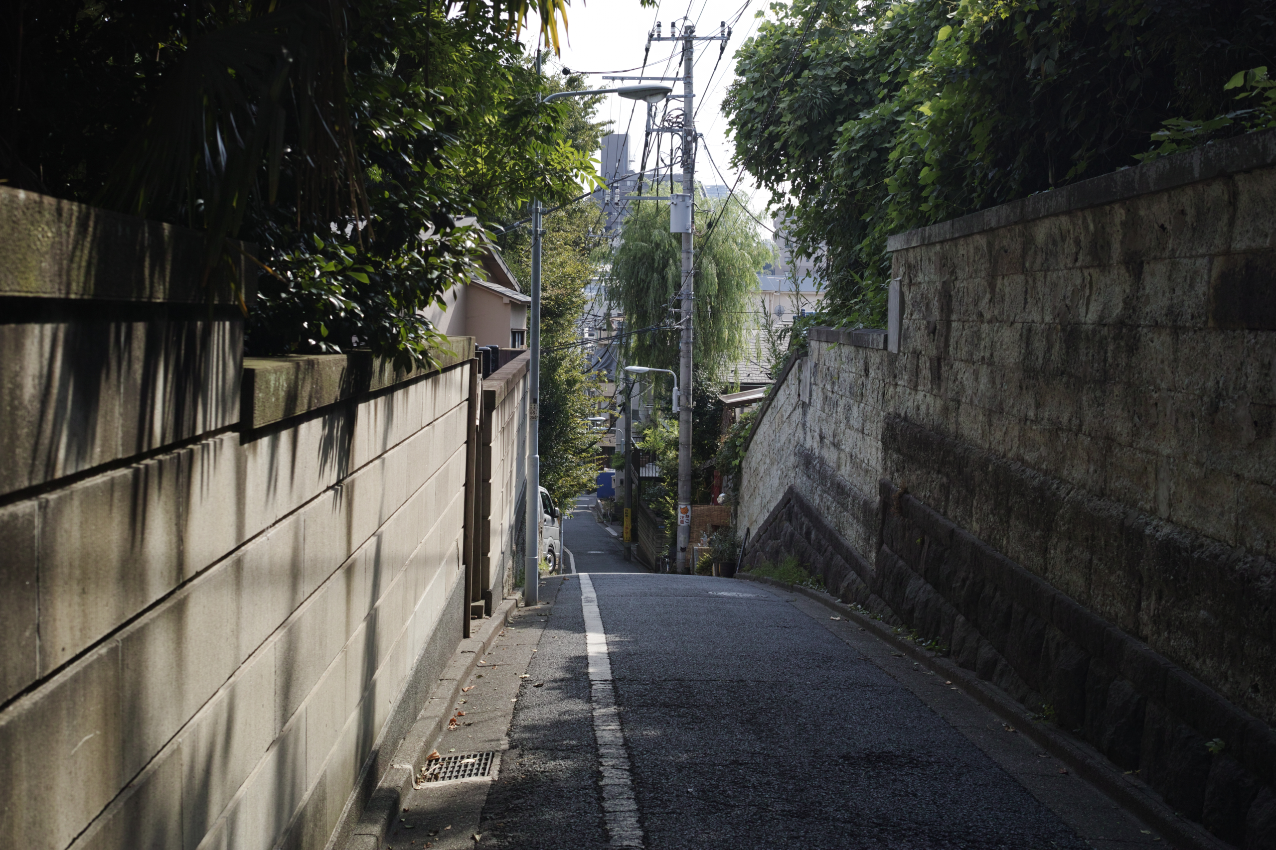 Kanda, Nippori, Nezu, Ueno, Shinjuku_Img