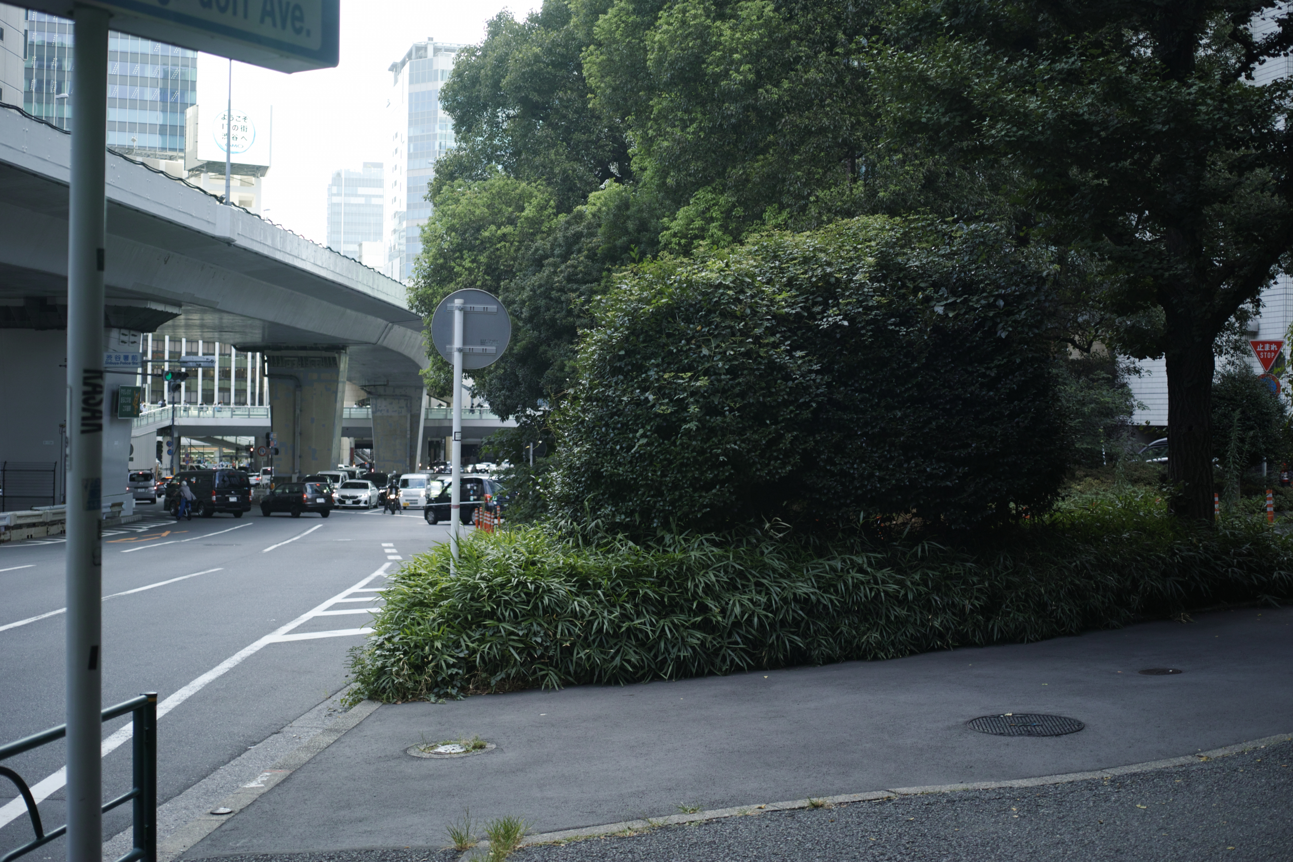 Shibuya_Img