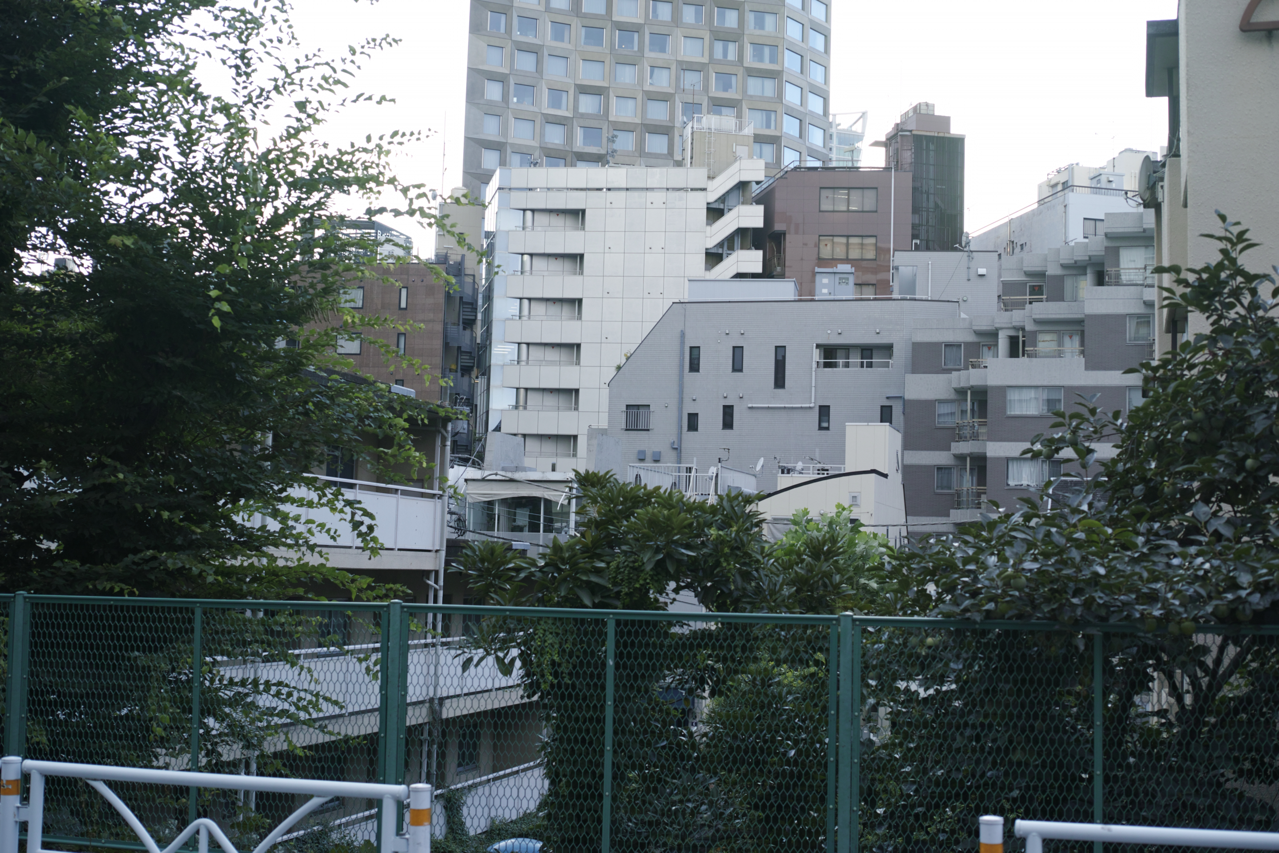 Shibuya_Img