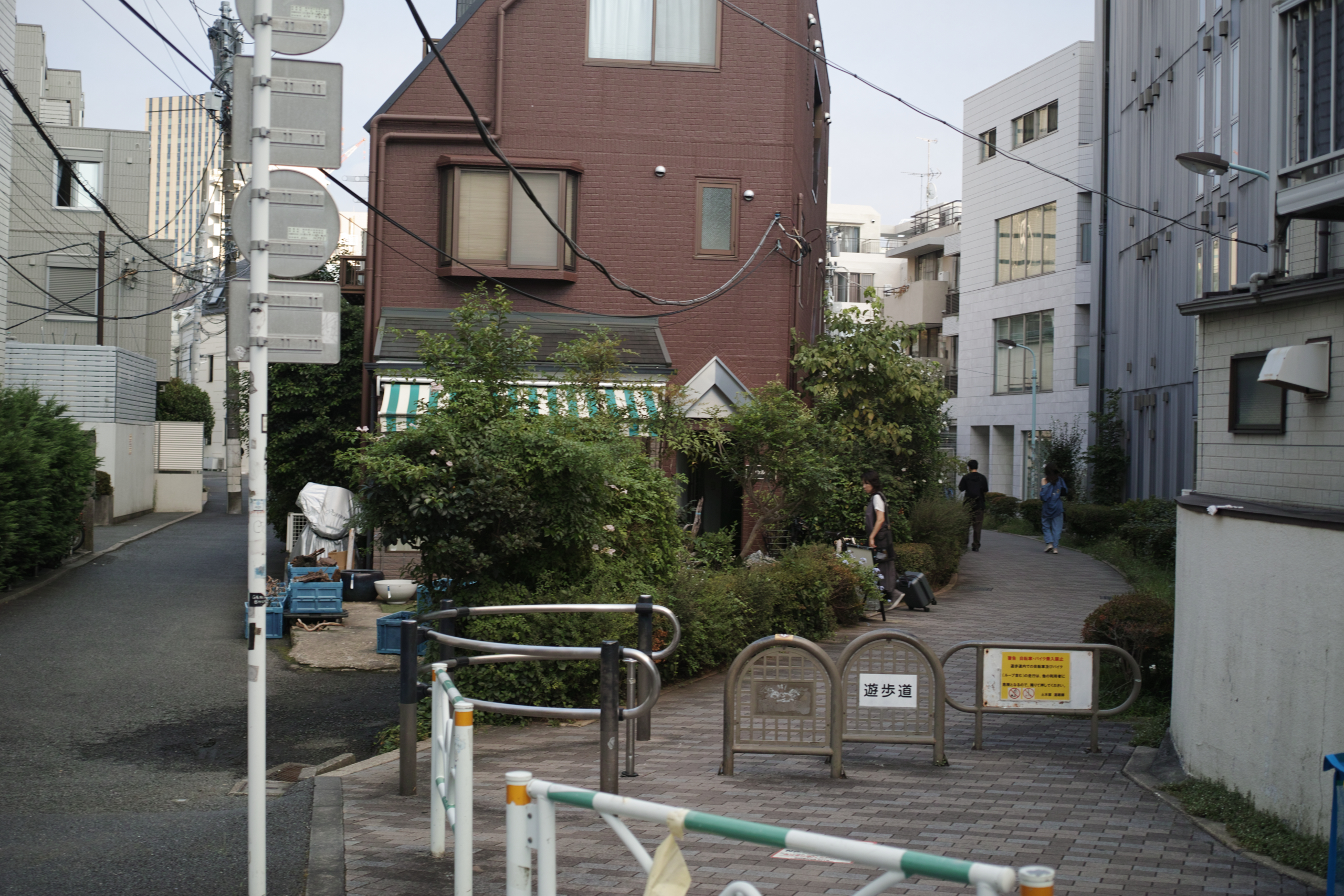Shibuya_Img