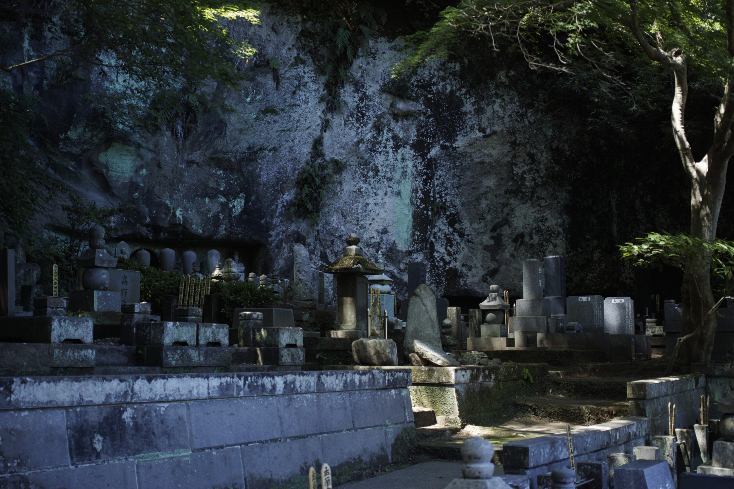 Kamakura_Img