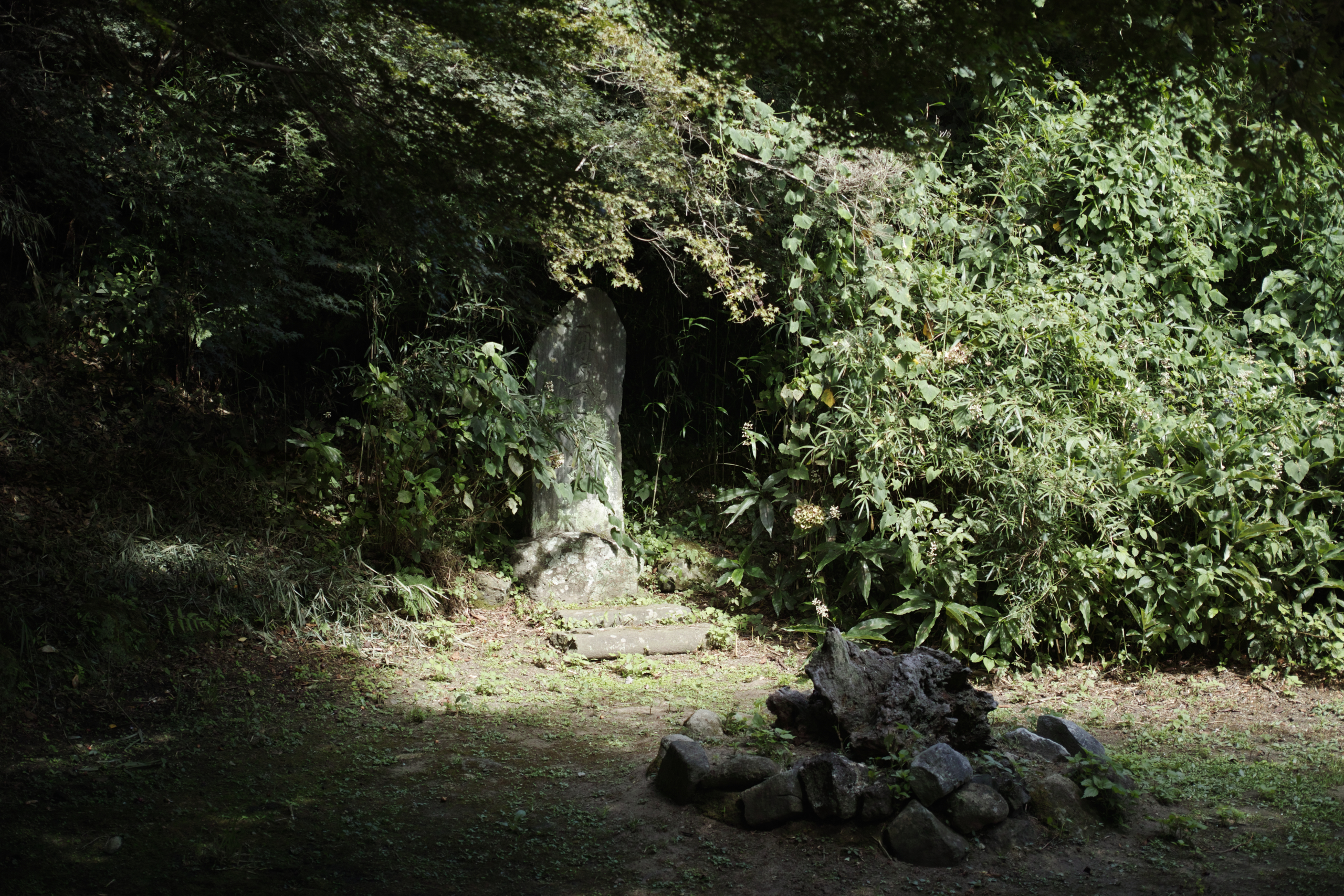 Kamakura_Img