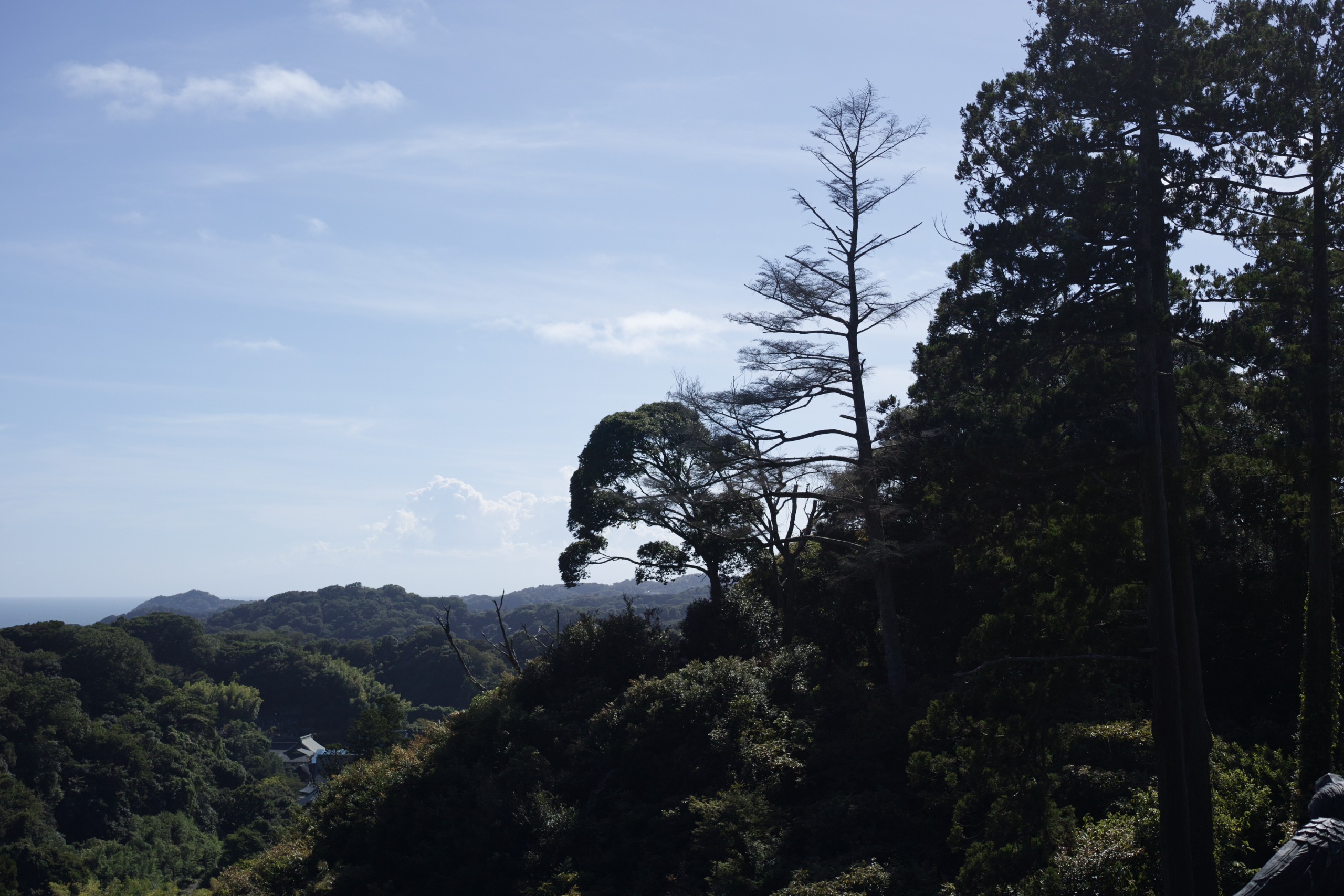 Kamakura_Img
