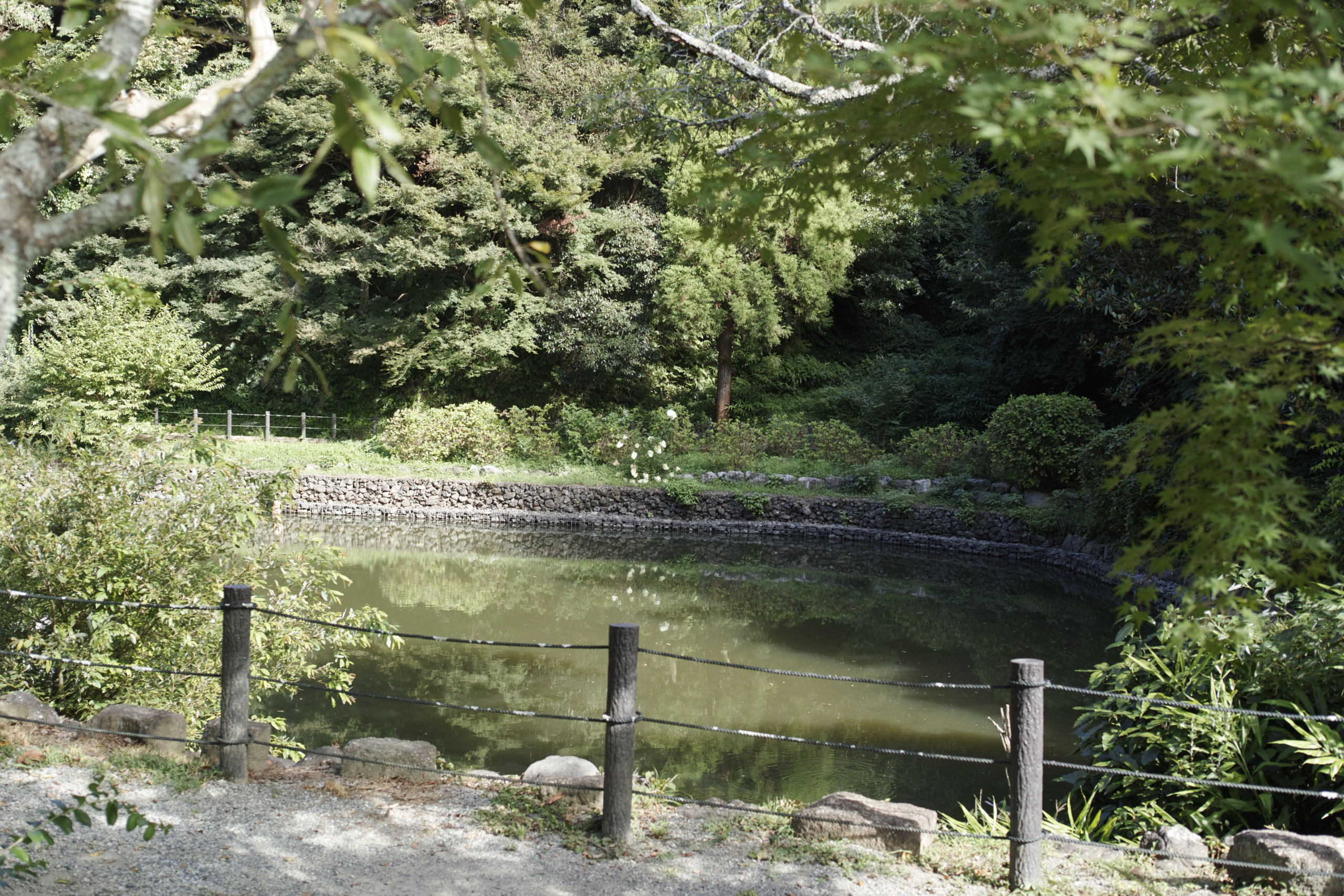Kamakura_Img