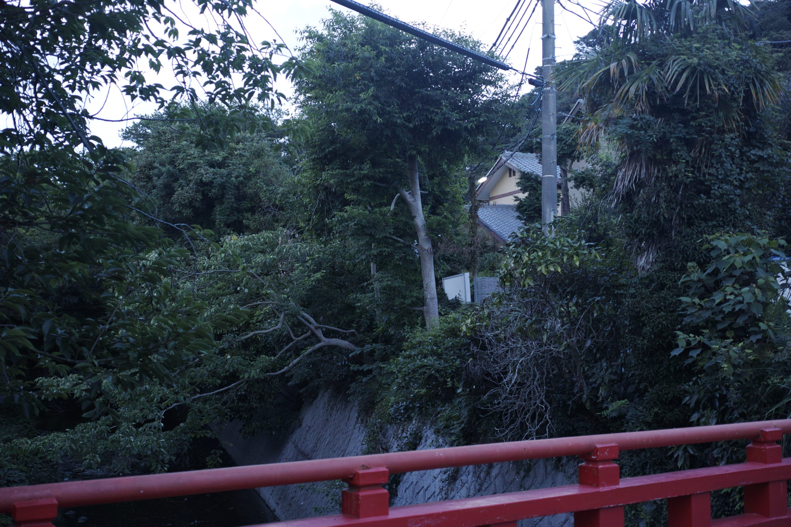 Kamakura_Img