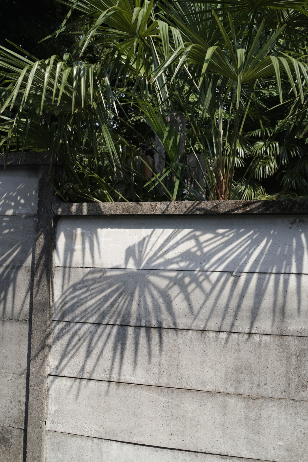 Kanda, Nippori, Nezu, Ueno, Shinjuku_Img