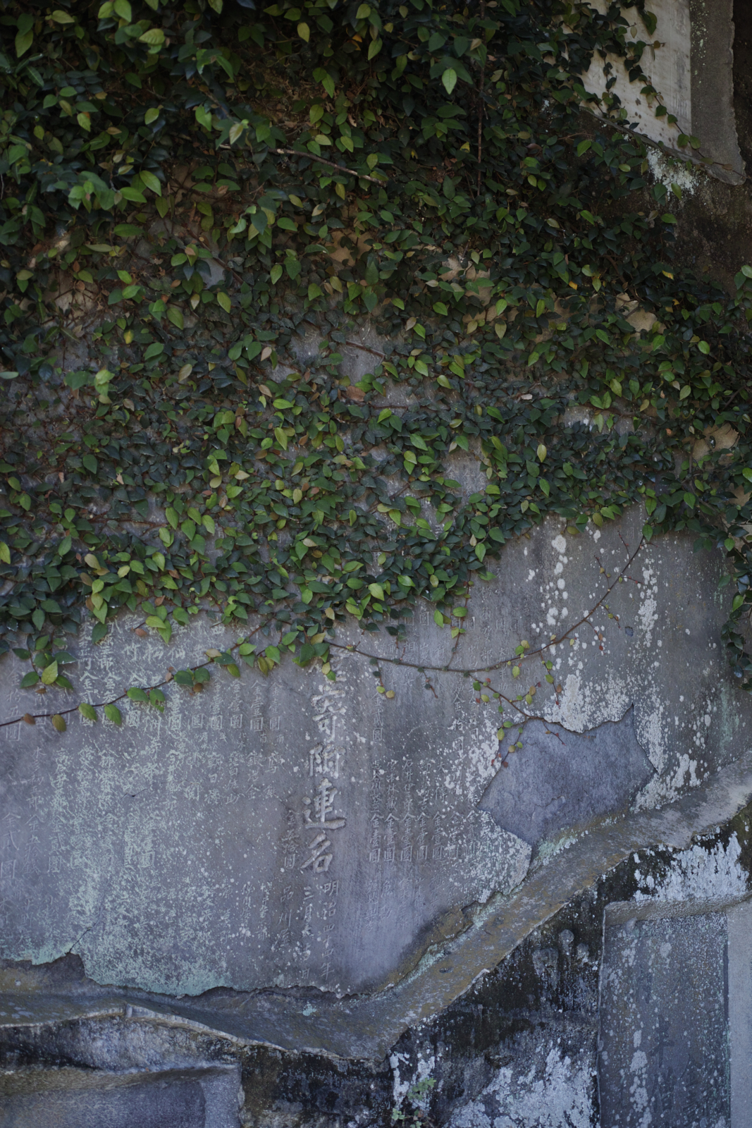Kamakura_Img