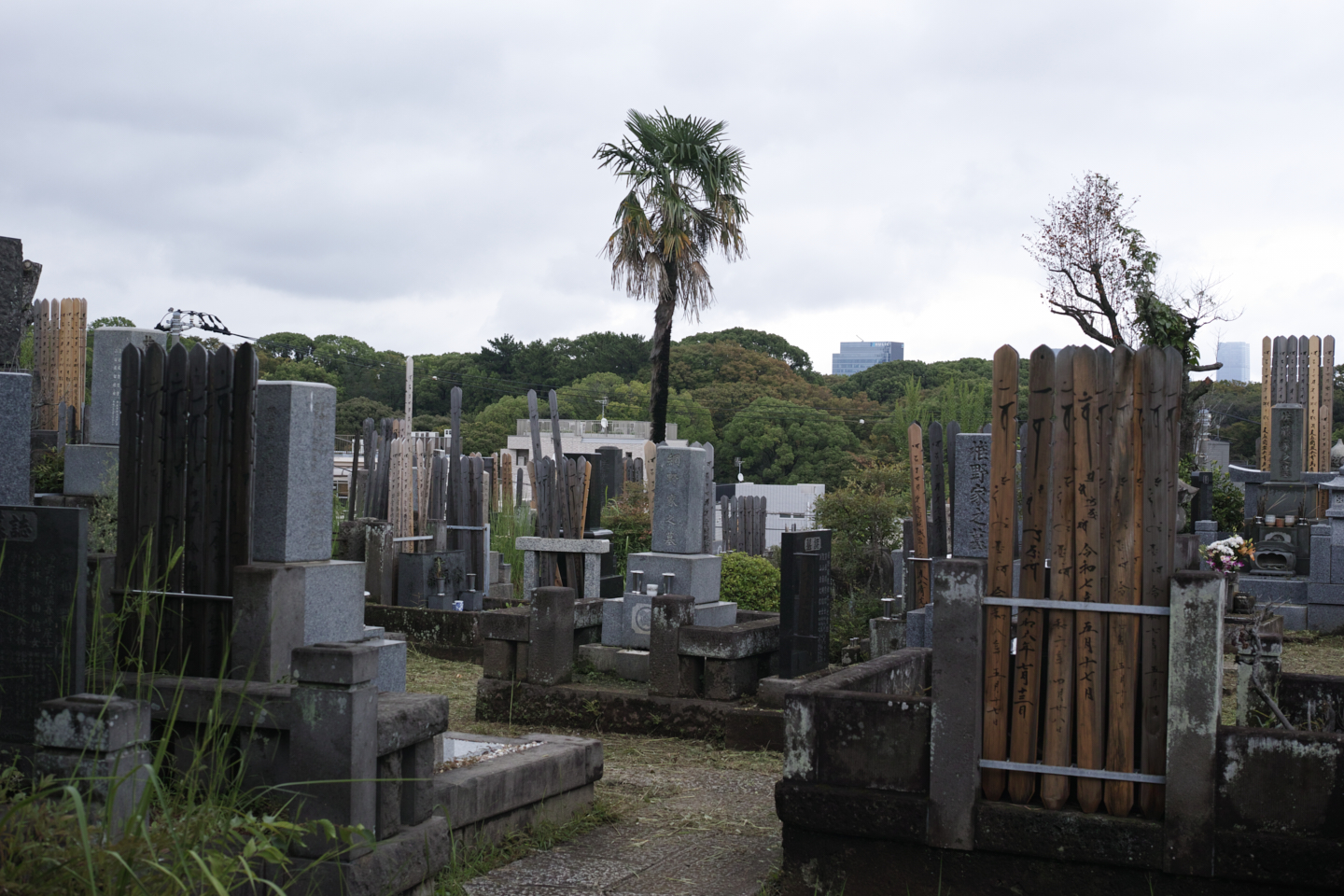 Yoyogi-Uehara, Sendagaya_Img