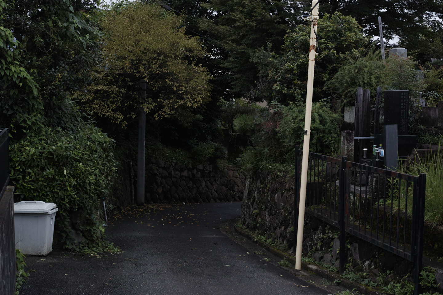 Yoyogi-Uehara, Sendagaya_Img