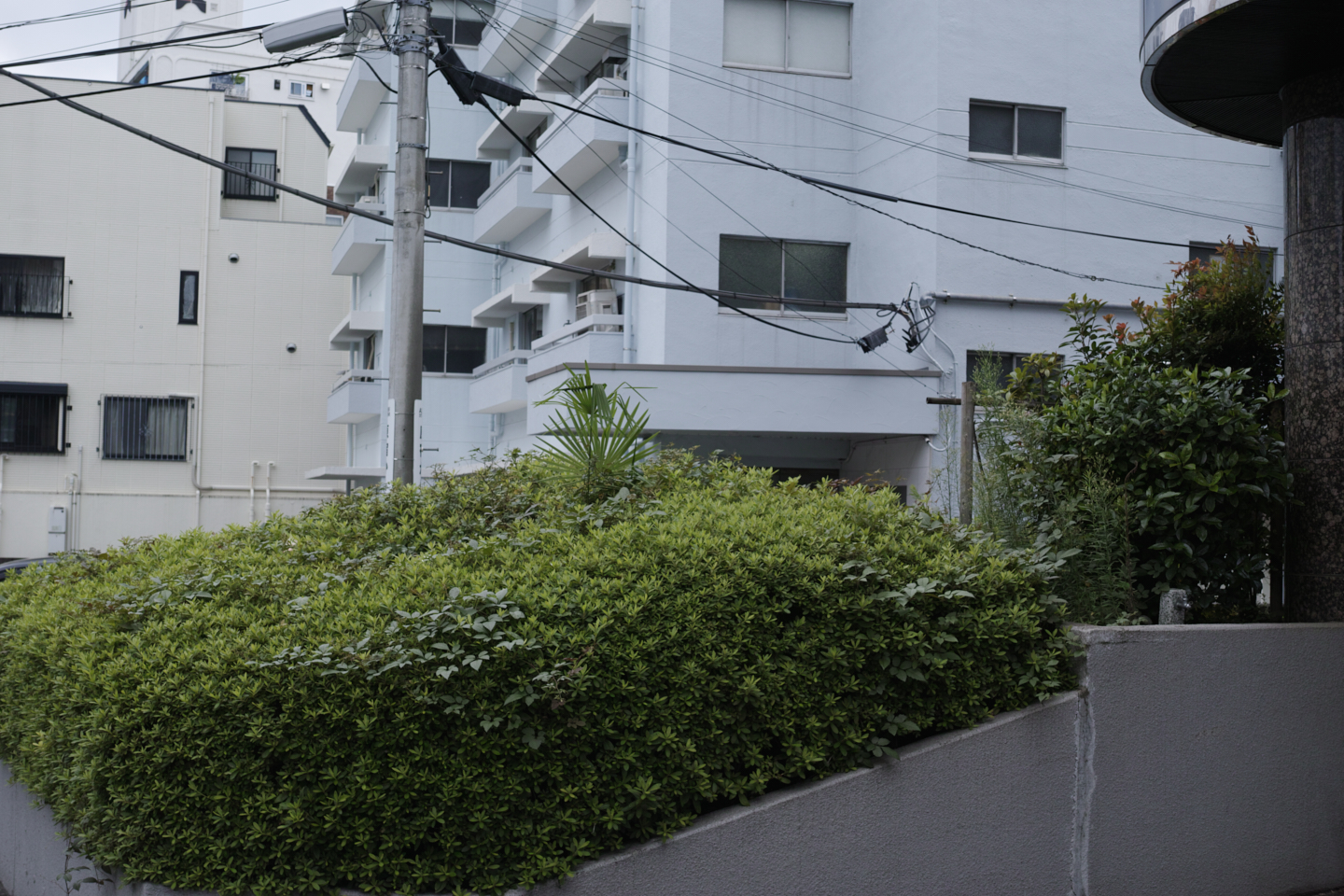 Yoyogi-Uehara, Sendagaya_Img