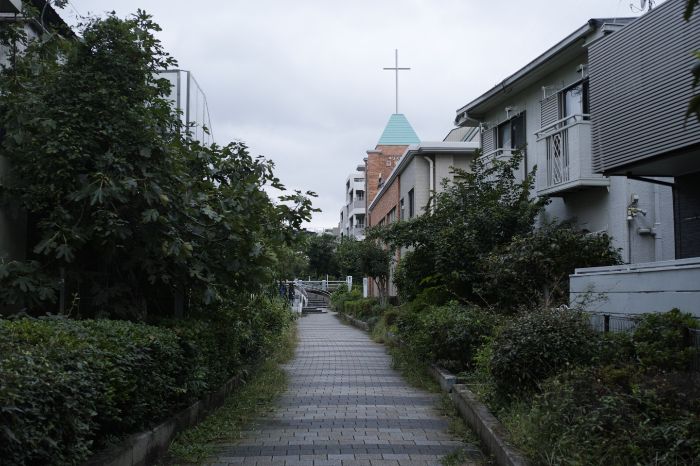 Ebisu, Nakameguro, Yutenji, Shibuya, Yoyogi_Img