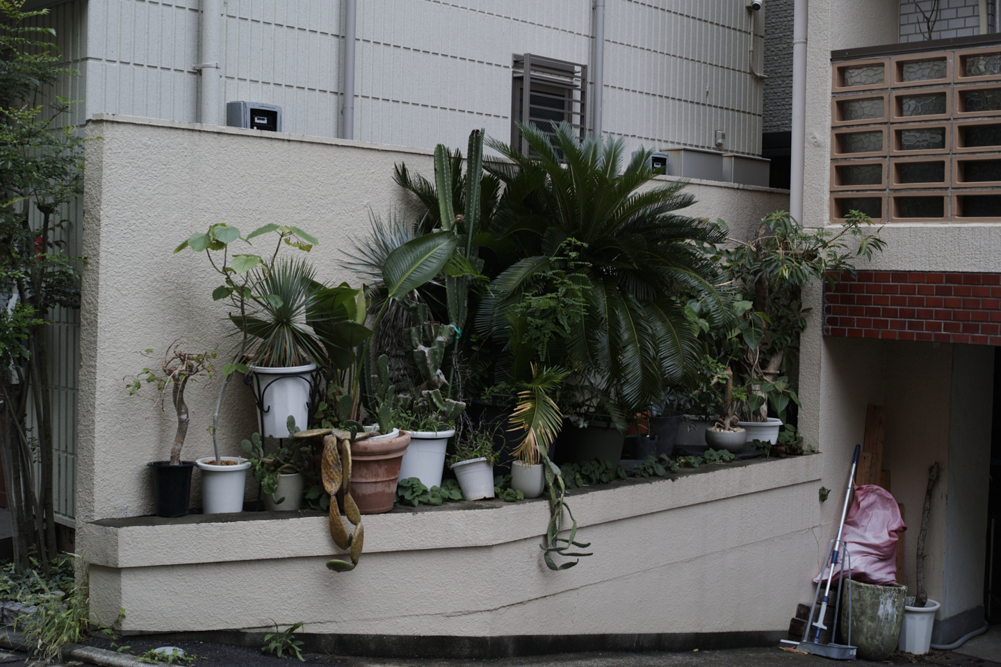 Ebisu, Nakameguro, Yutenji, Shibuya, Yoyogi_Img