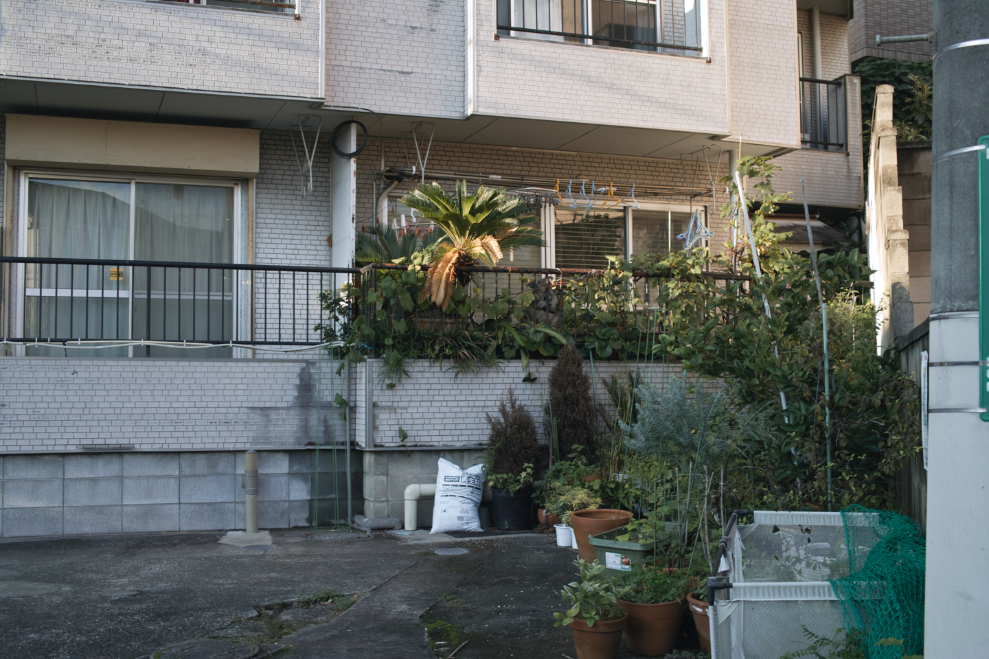 Kokubunji_Img