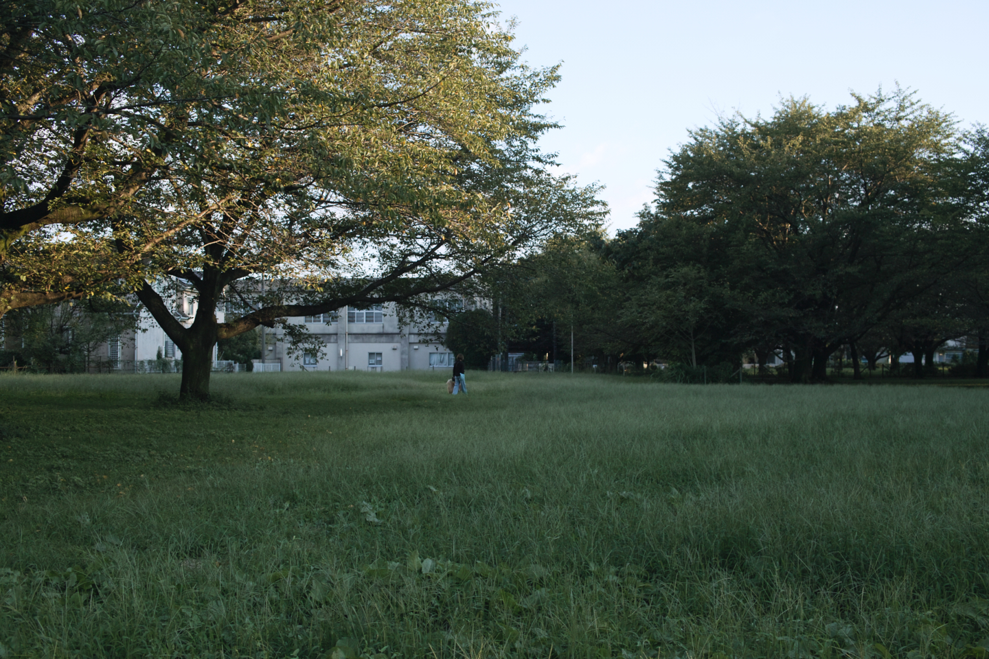 Kokubunji_Img